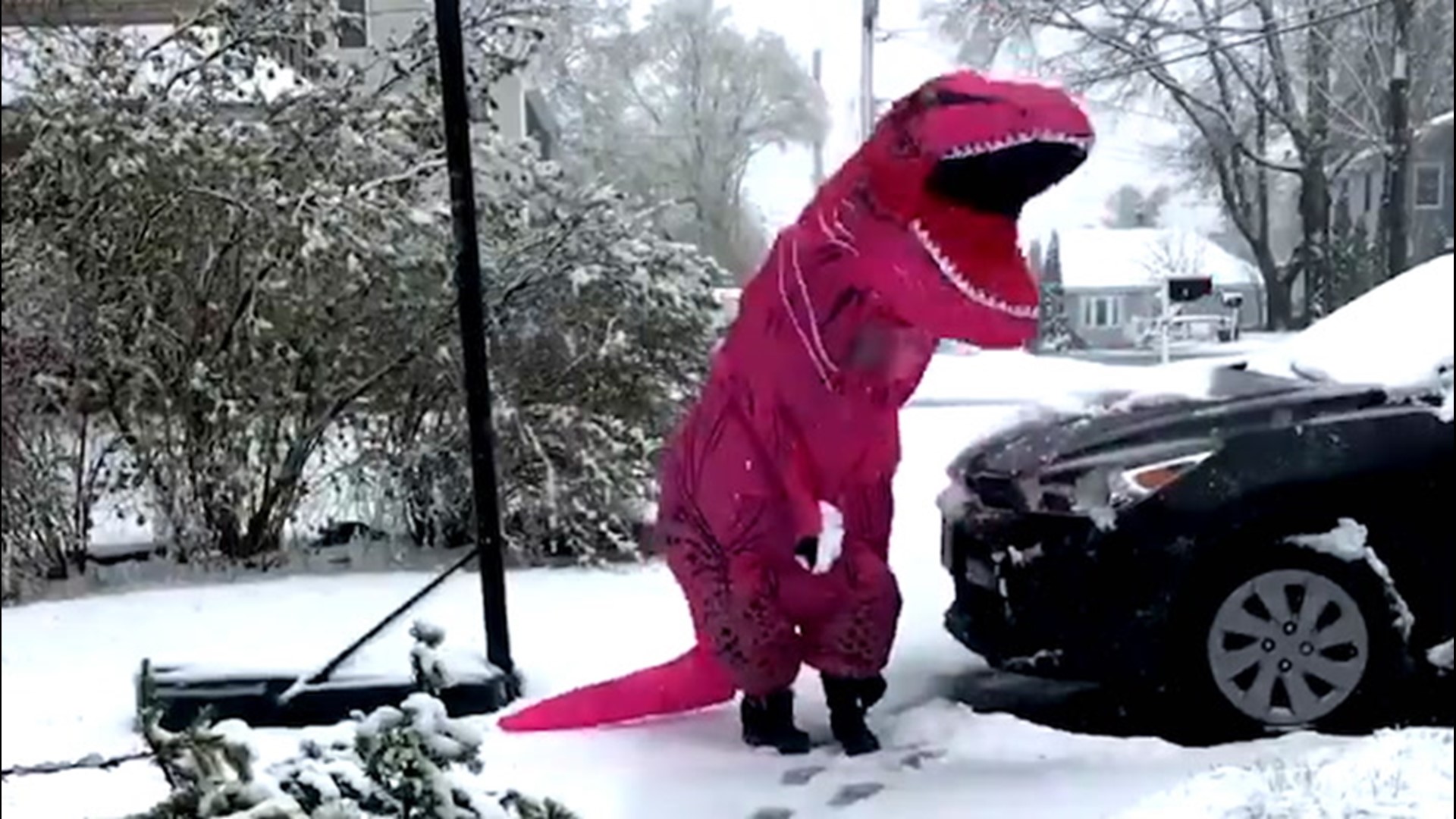 A person donning a dinosaur costume - referred to as 'Pinky T-Rexadero' - took time to have some fun as snow coated Massachusetts neighborhoods on April 16.