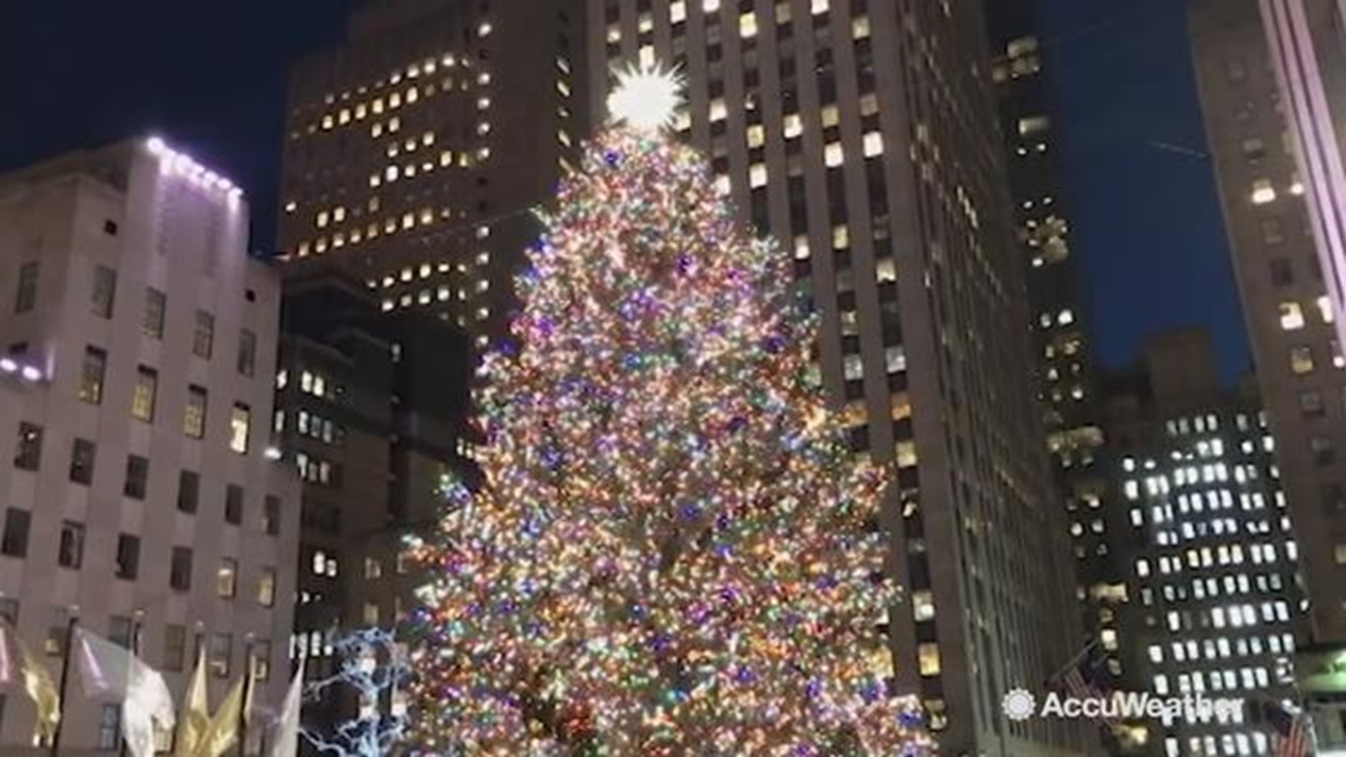 It's beauty and dazzling 50 thousand lights, draws hundreds of thousand of visitors each day. The tree will be on display through January 7th, but once the holiday season is over, the tree's job is not done. Find out where it will go to next.