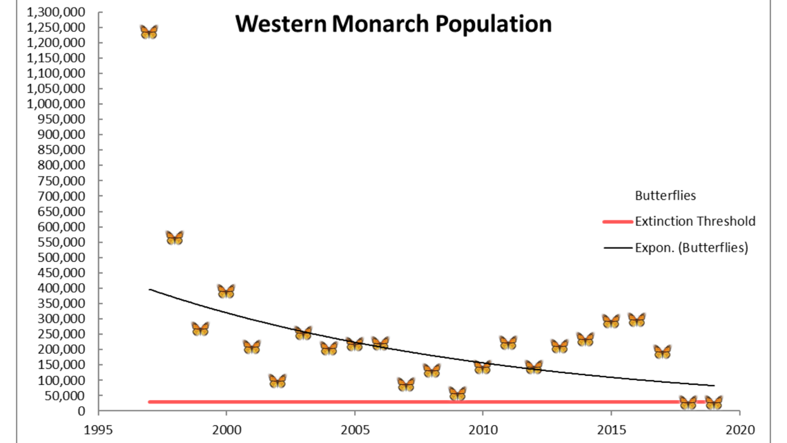 Butterfly Population Plummeting Toward Extinction In California Kens5 Com