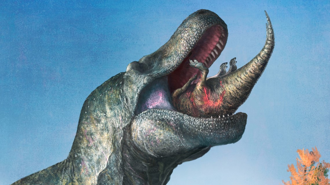 Did T. rex have lips? | kens5.com - Vimarsana News