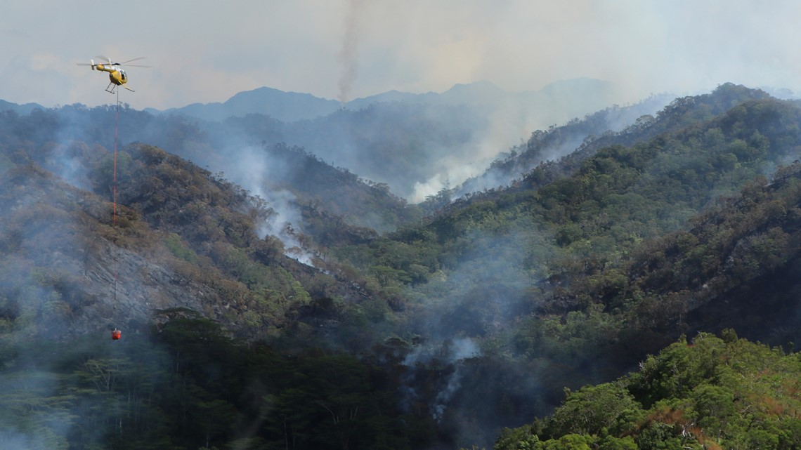 Wildfire burning in Oahu is destroying irreplaceable rainforest