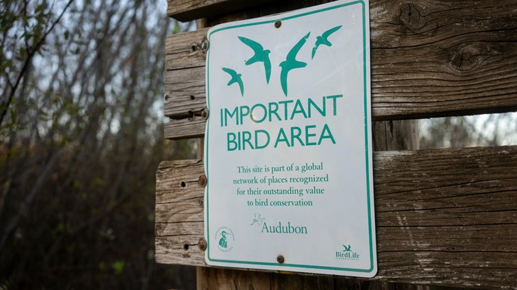 National Audubon Society keeps name despite namesake's ties to slavery