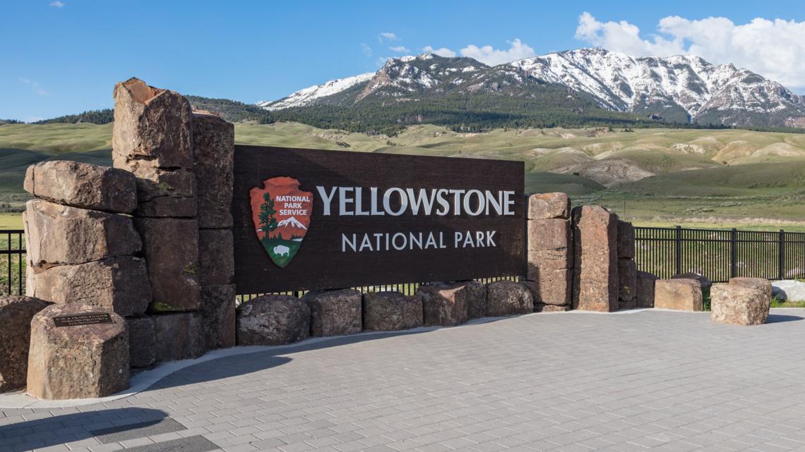 Hikers injured after encounter with bear near Old Faithful at Yellowstone National Park