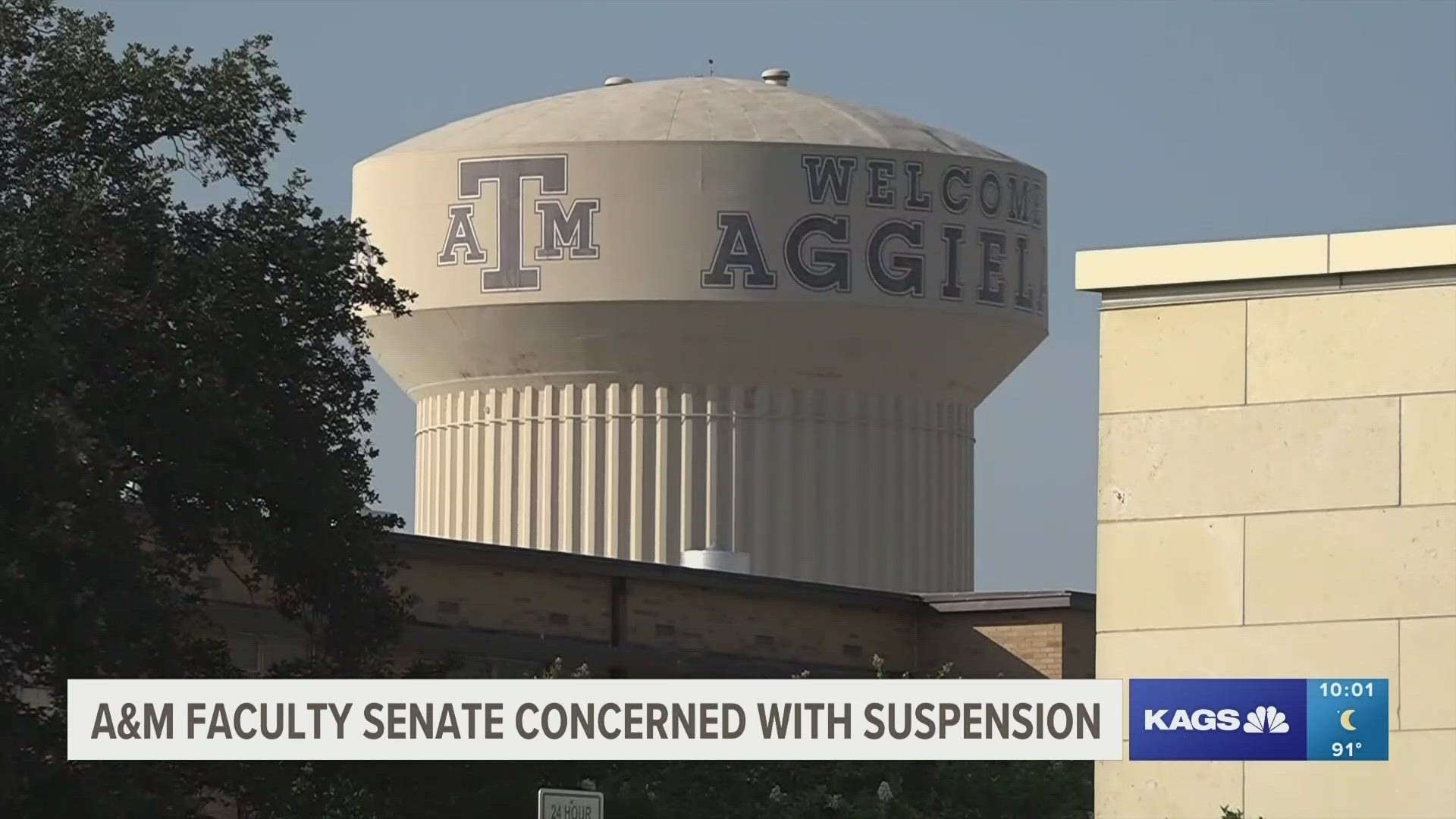 "If we cannot speak freely as academics then our profession means nothing," said Texas A&M Journalism professor, Nathan Crick.