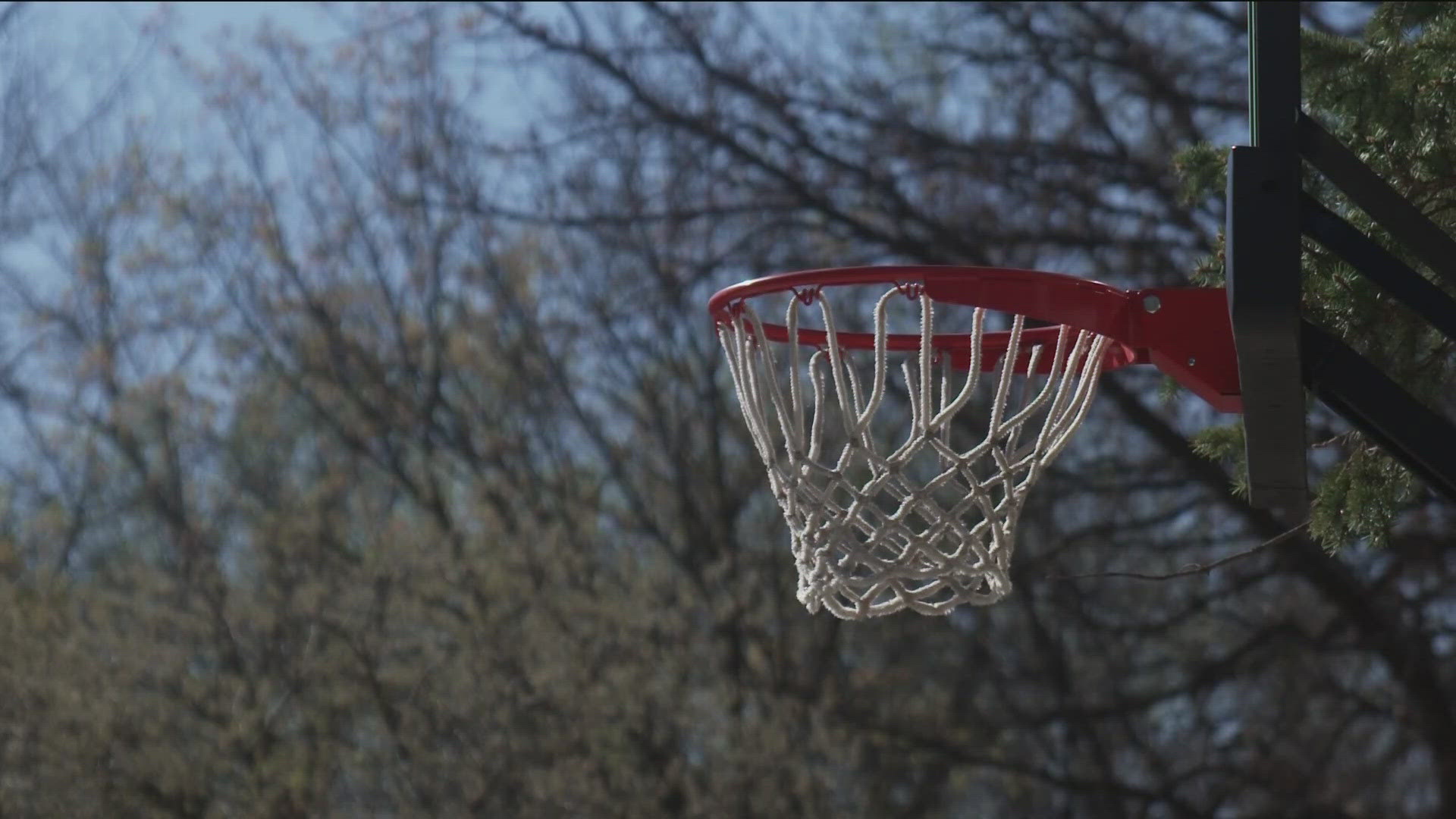 Julia Ramos had asked a judge to bar the boys from playing on their driveway basketball hoop.