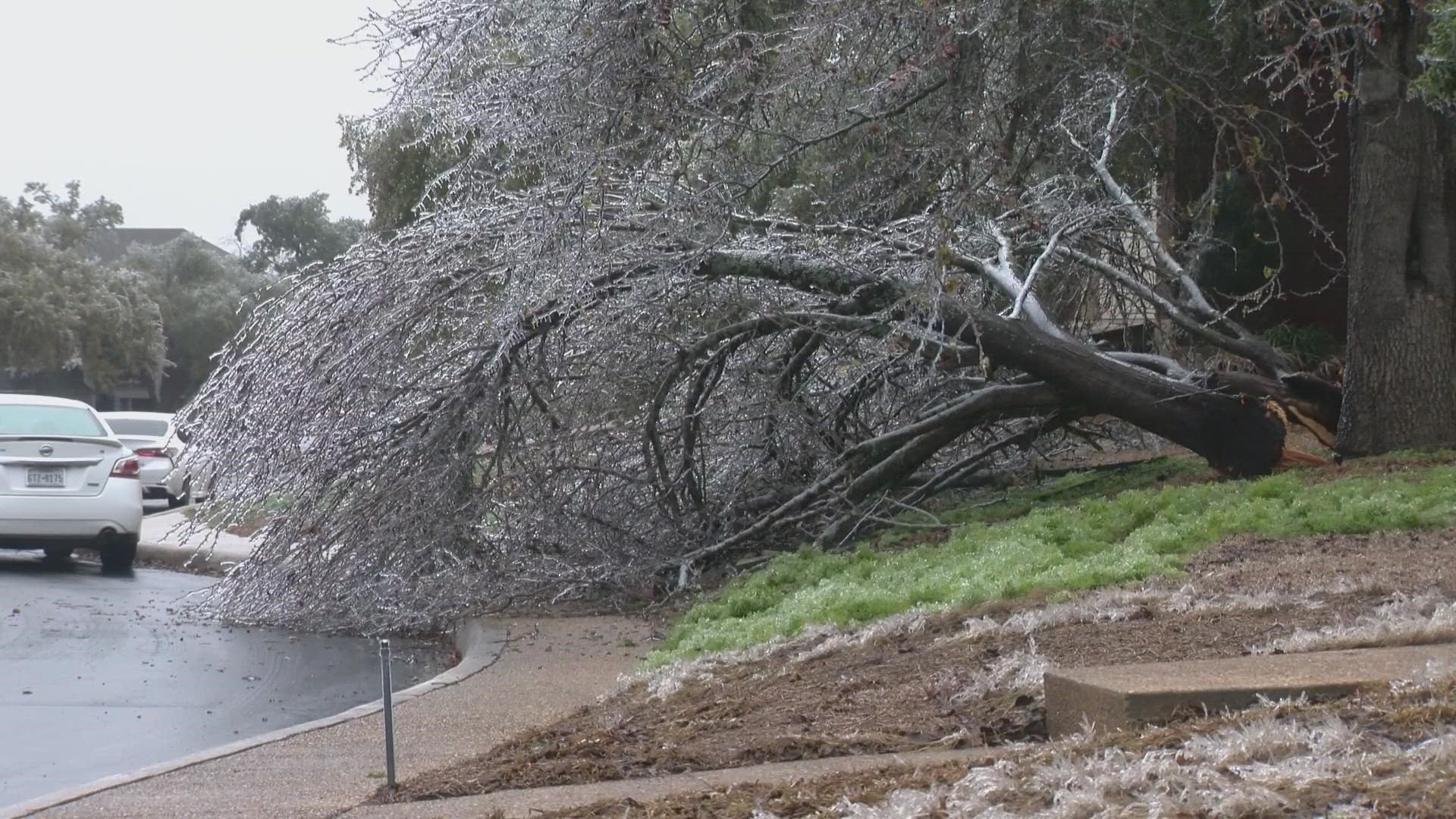 Many around San Antonio are paying thousands to clean up damaged tree limbs that pose a danger to people and power lines.