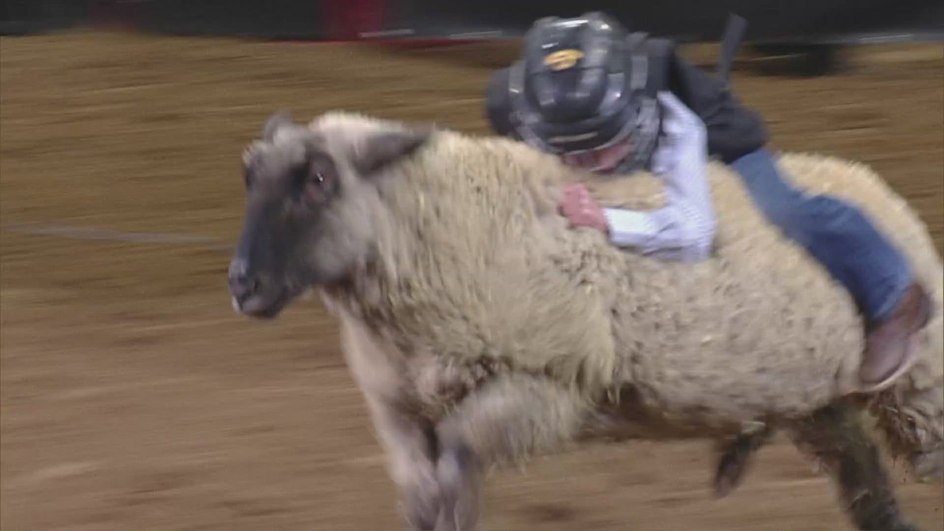 Enter for chance to see your child compete in the Mutton Bustin at the rodeo