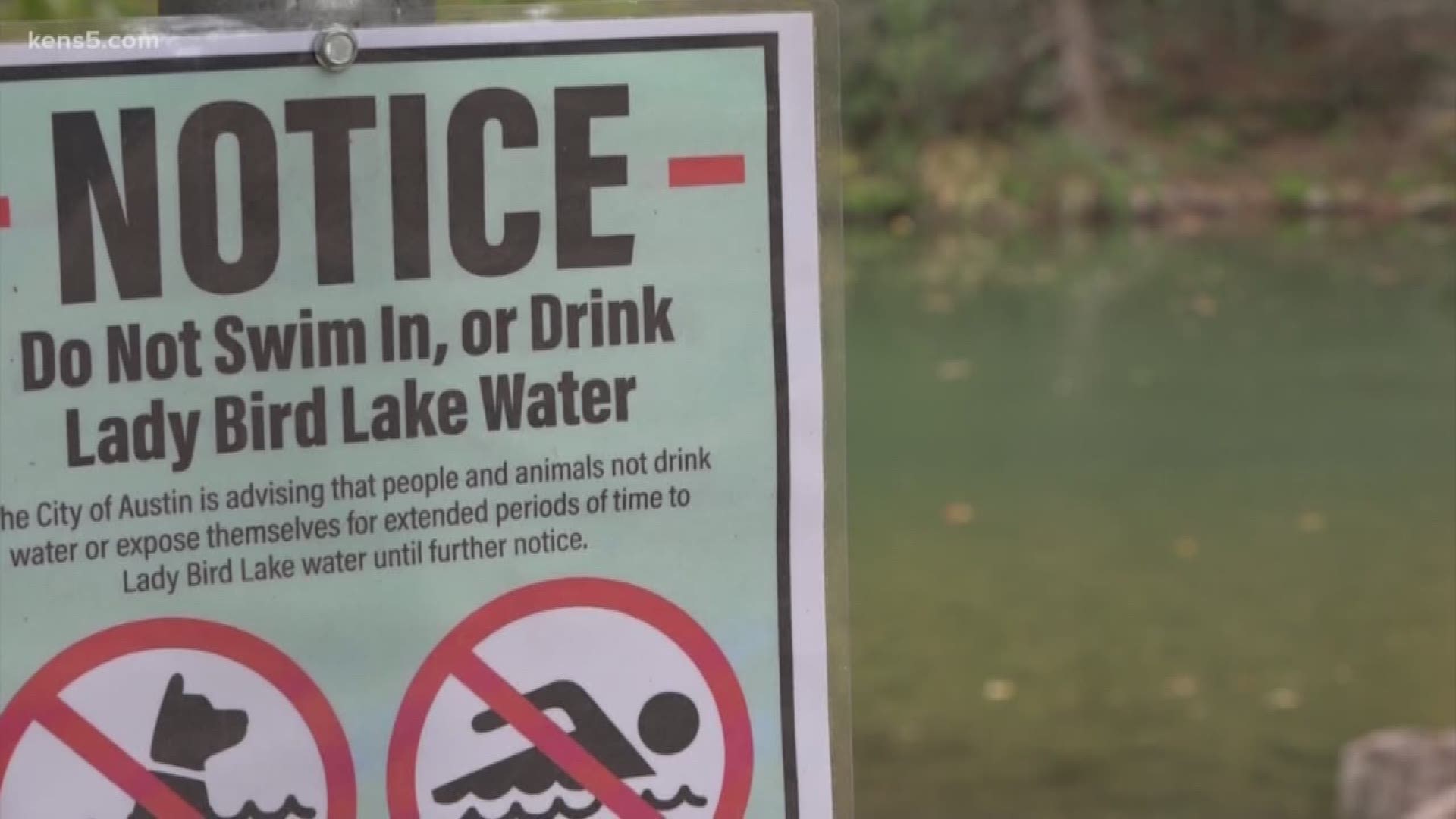 Harmful blue-green algae in the area is believed to be responsible for the deaths of at least three dogs in August.
