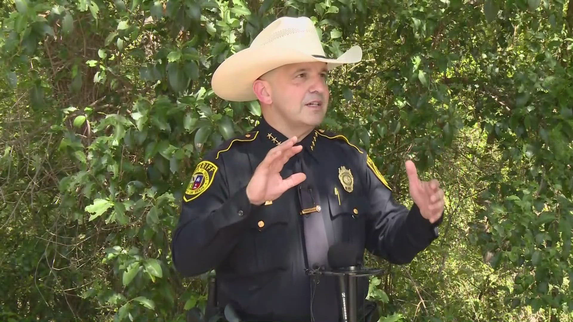 Authorities in Bexar County believe a woman's body found at the Salado Creek Greenway is that of a missing woman. They are investigating the case as a homicide.