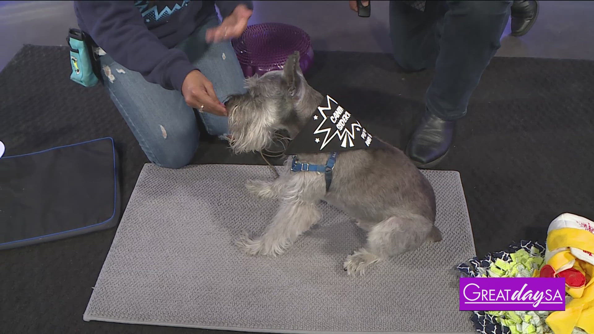 Stephanie Garza with Pup Pup & Away shares from tips to train your elderly dog.