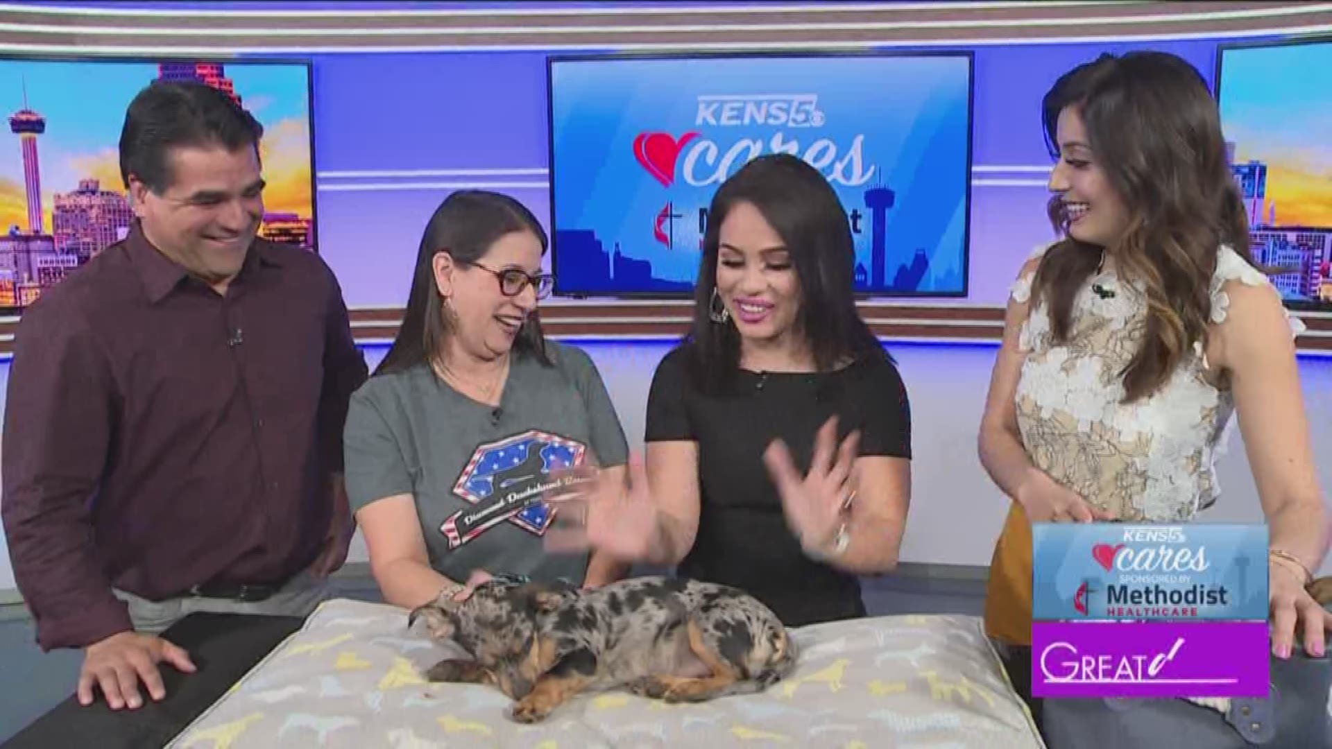 This weeks pet of the week will melt your heart