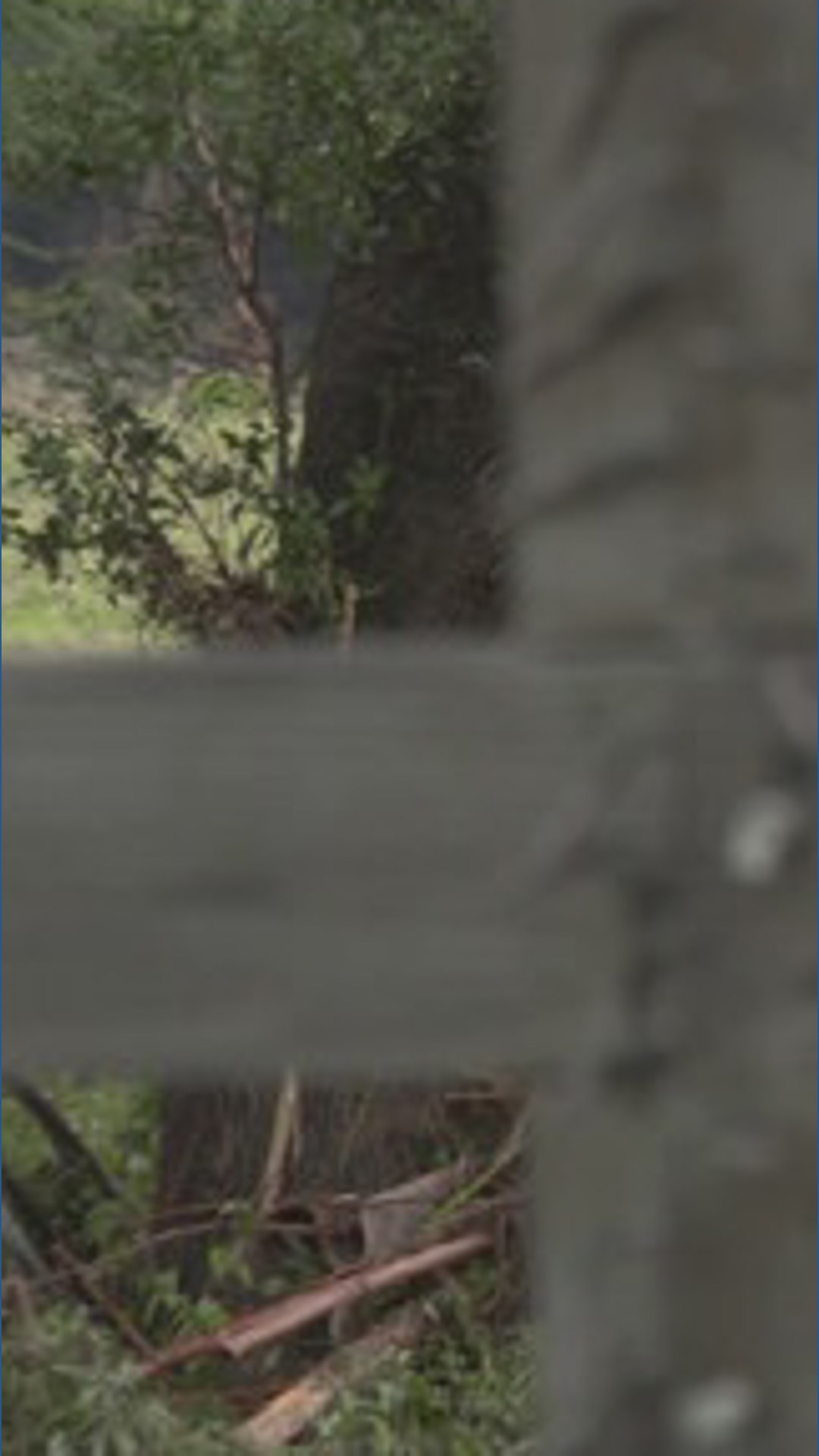 Officials: Woman dead after being swept away by floodwaters in Bandera ...