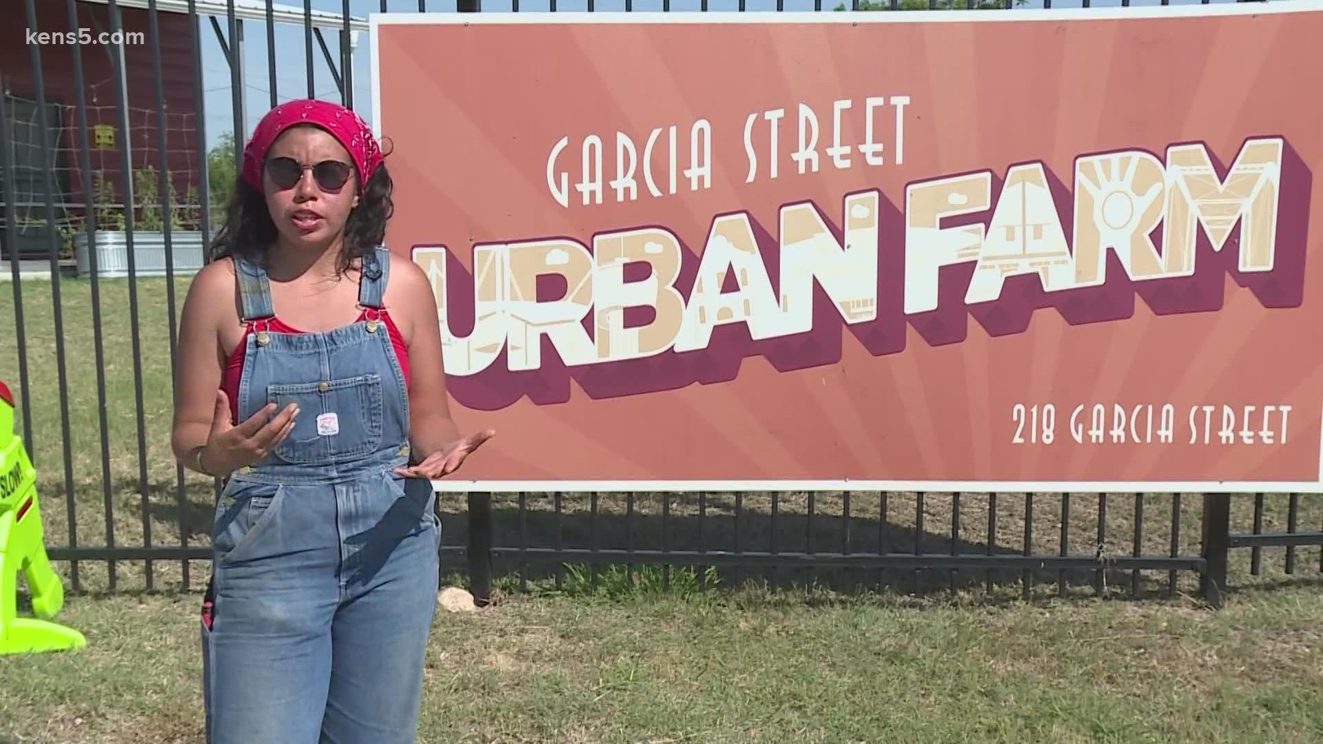The Garcia Street Urban Farm helps provide healthy, affordable produce for the community. Lately, working without a tractor has been slowing them down.