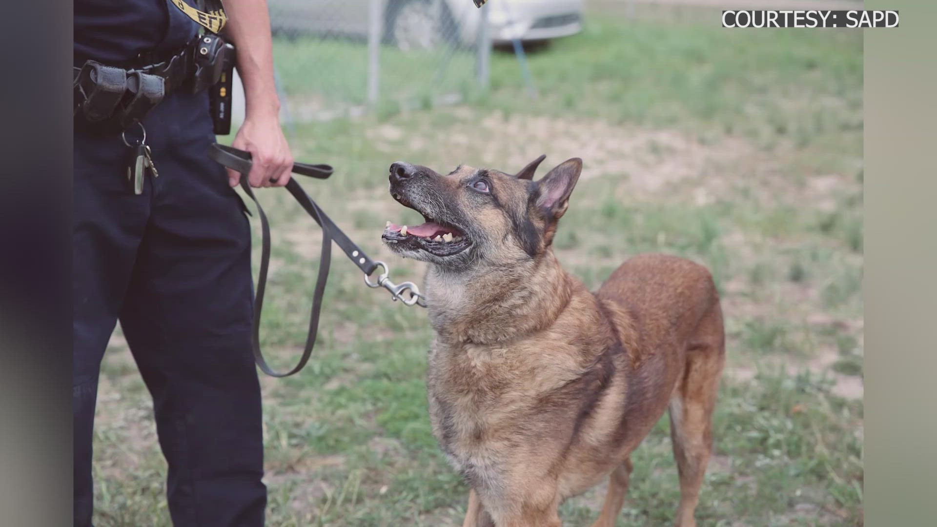 One K9 has been with the department for 7 years and the other 9 years.