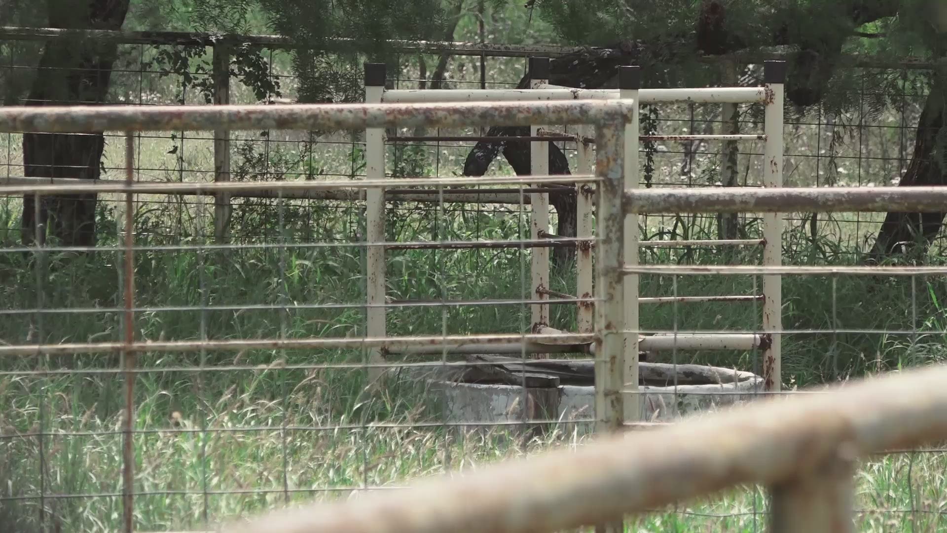 One Texas ranch owner is offering up his property to protect his livelihood.