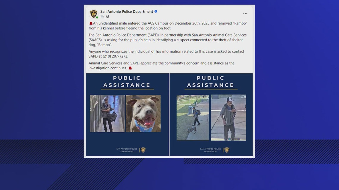 San Antonio police seek suspect in December theft of shelter dog 'Rambo"