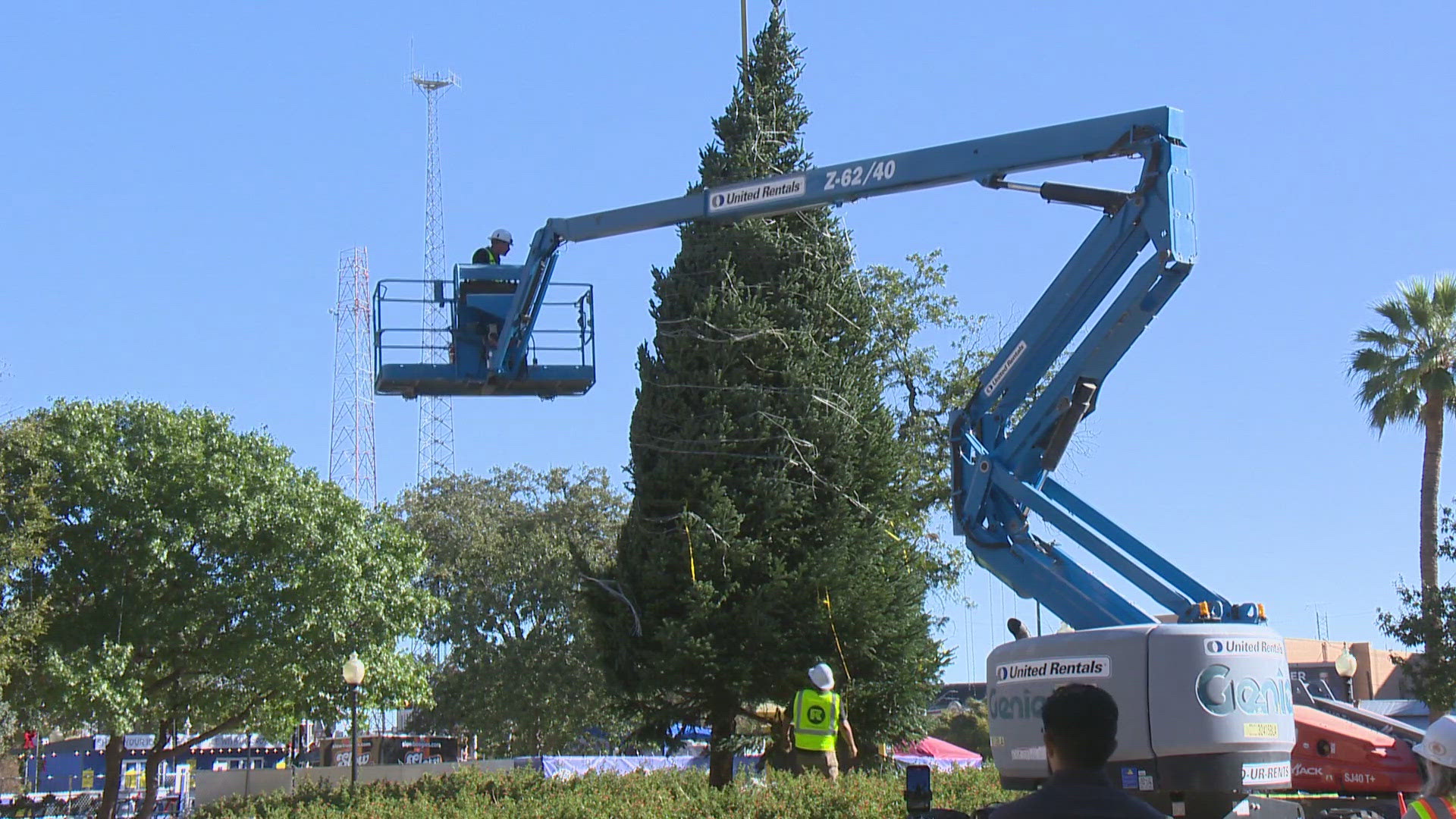 Over the next few days the tree will be decorated with more than 10,000 dazzling white lights and dozens of colorful handmade ornaments.