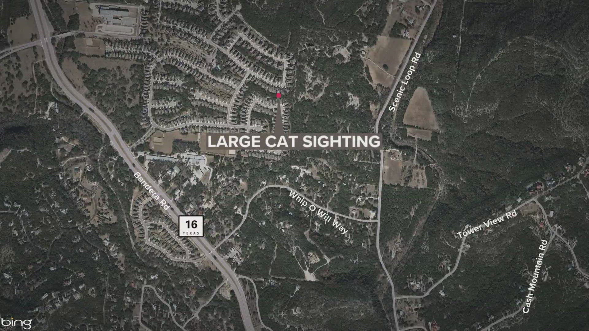 Neighbors suspect the cat may be a mountain lion. Residents are keeping an eye out for any signs of the animal.