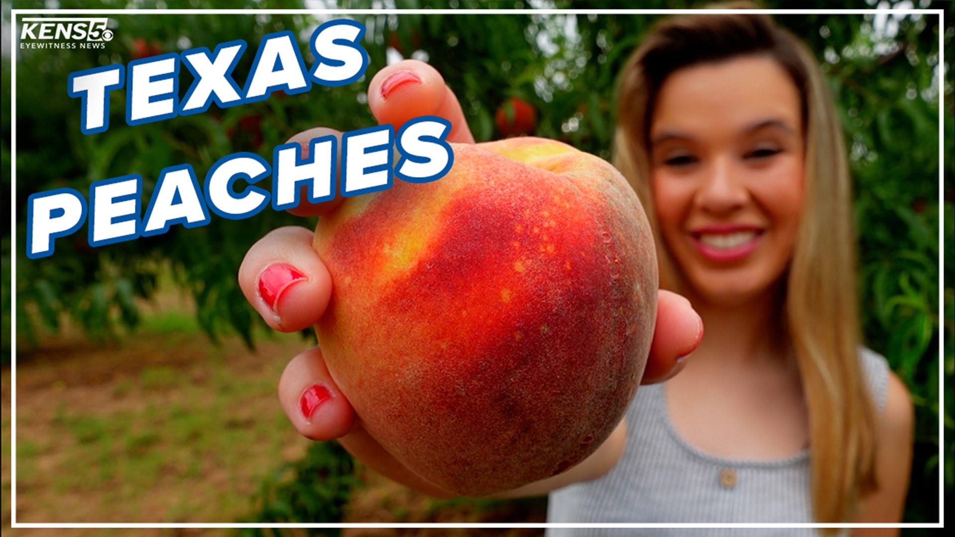 Peaches  Things to do in Fredericksburg, Texas