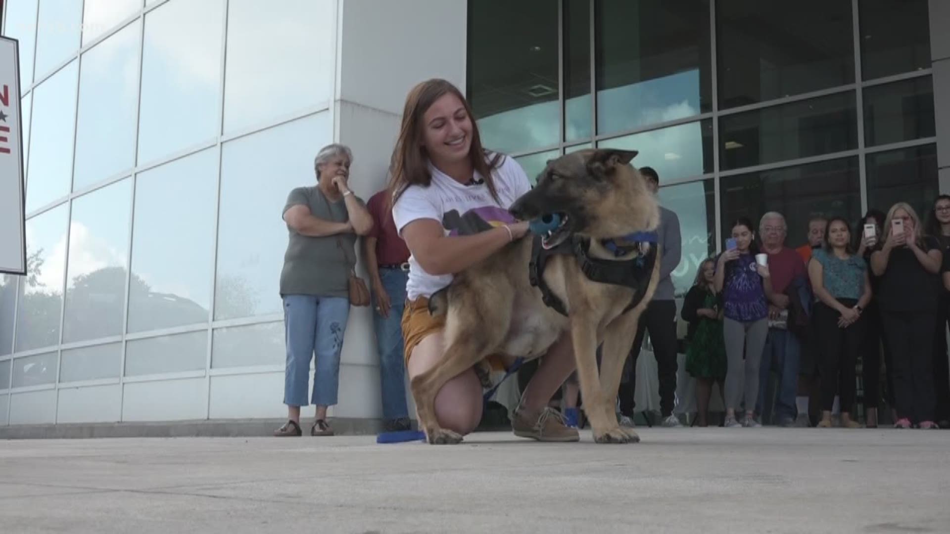 A military working dog traveled from Japan to San Antonio to reunite with his former handler who will adopt him. American Humane helped bring the two back together.