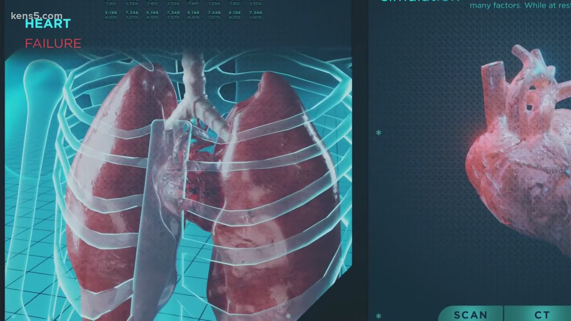 Heart failure and heart disease are often confused. KENS 5's Jeremy Baker explores the difference between these two medical terms.