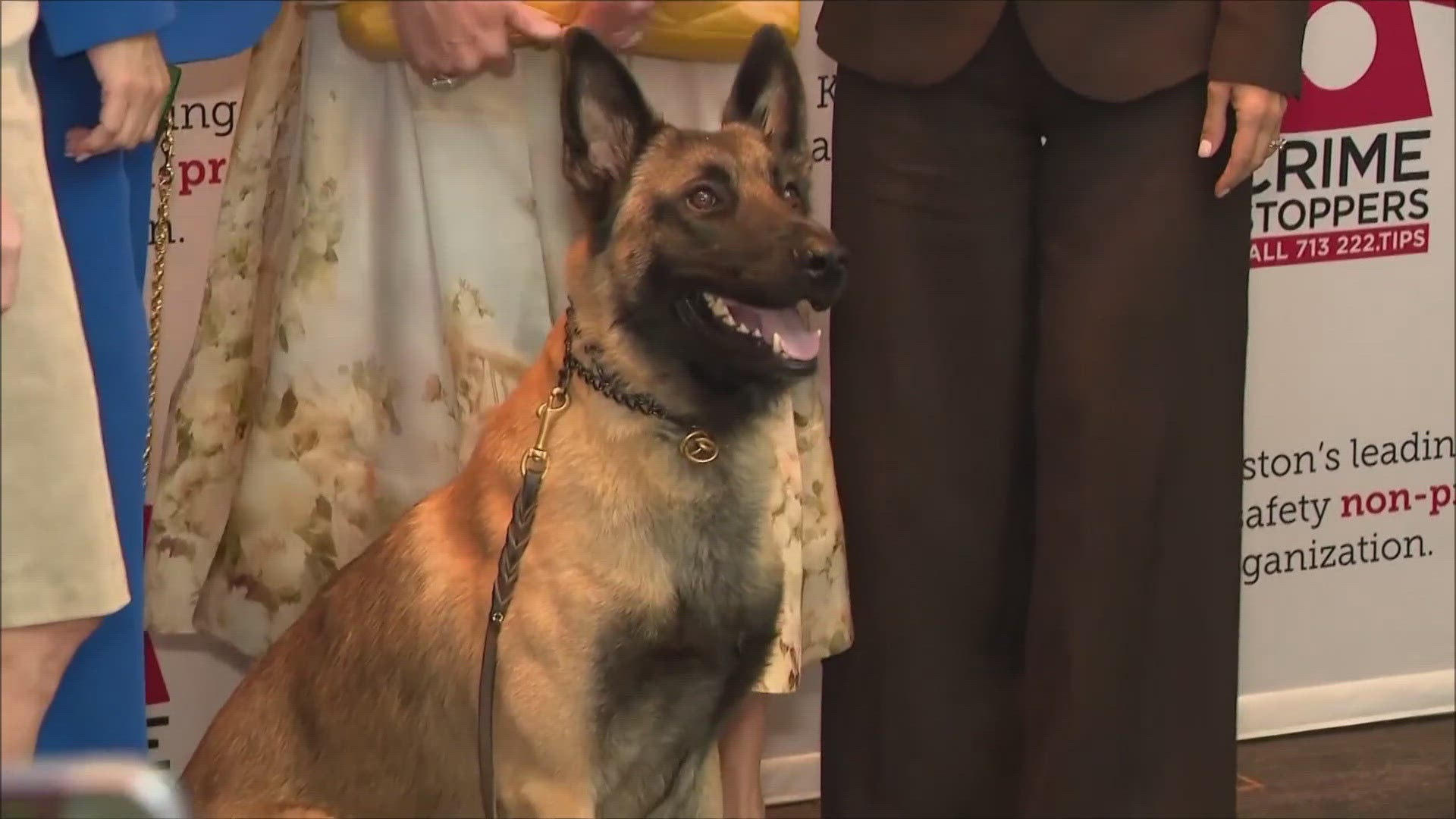 Rocky was honored along with the fallen deputy, Jesus Vargas. 