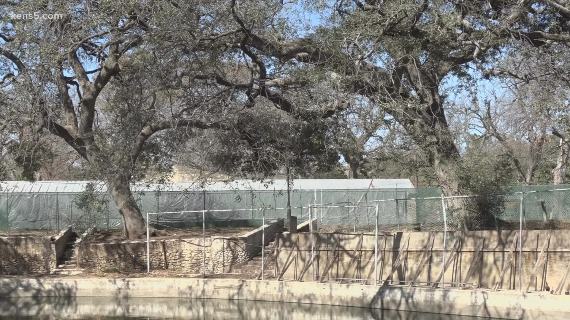 The proposed removal of over 100 trees at Brackenridge Park has ignited protests and is creating conversation among city officials.