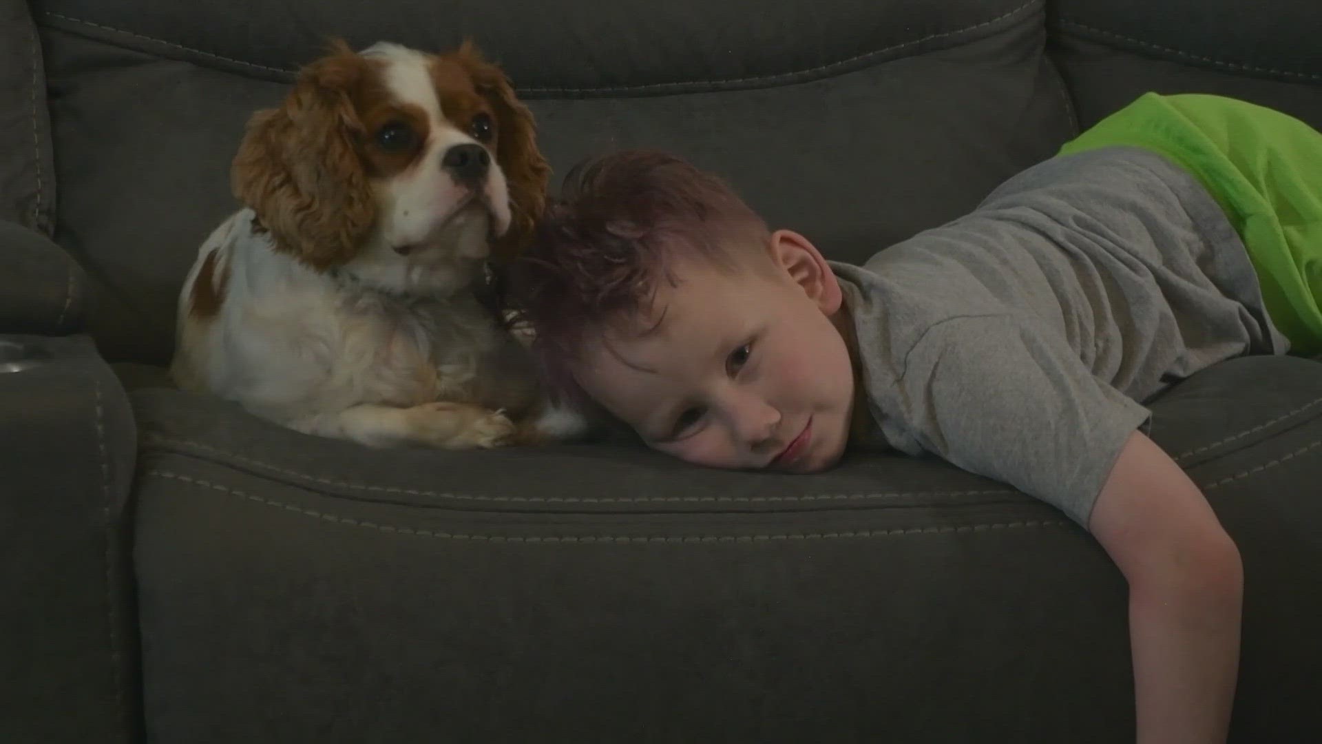 Mom of 7-year-old cancer patient in hospice raising money to give him good memories.