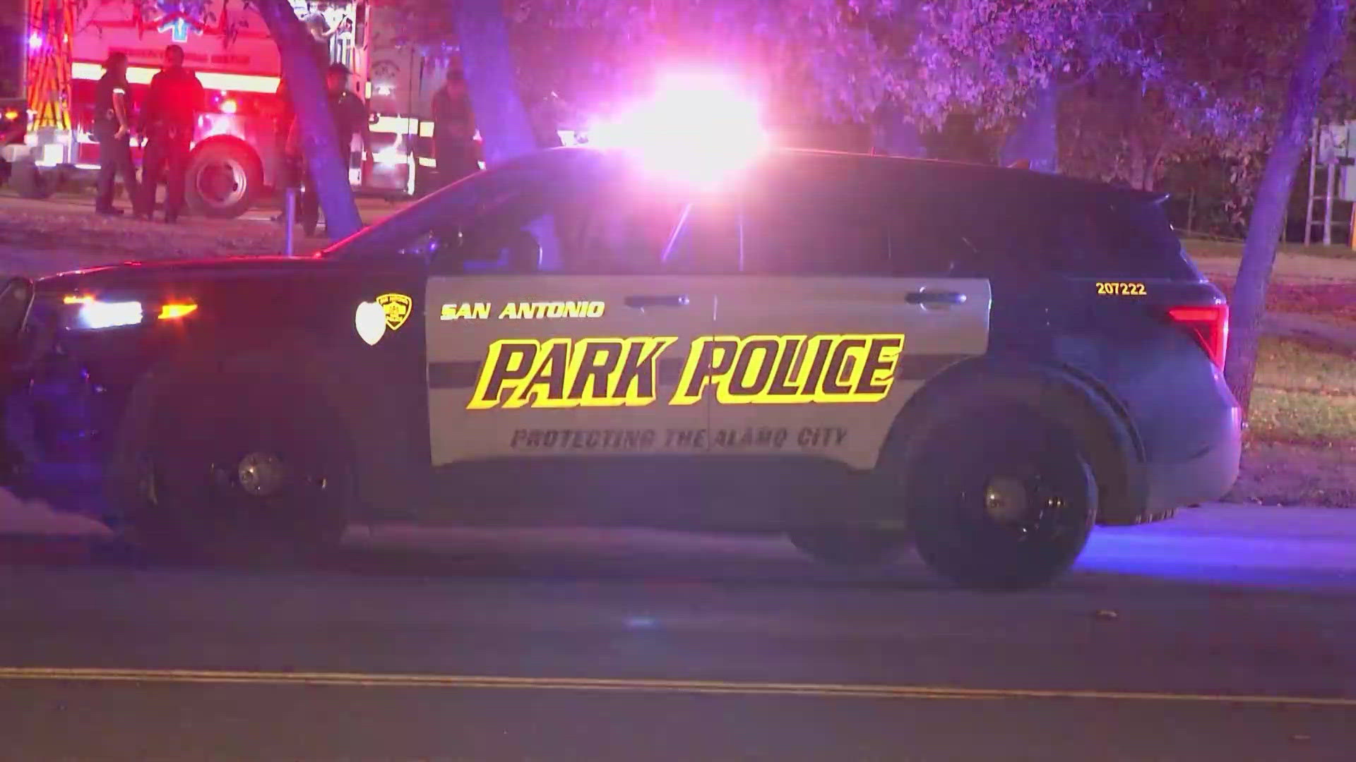 The 18-year-old boy told officers that he went to the park to meet up with his girlfriend, but her friends showed up instead and attacked him.