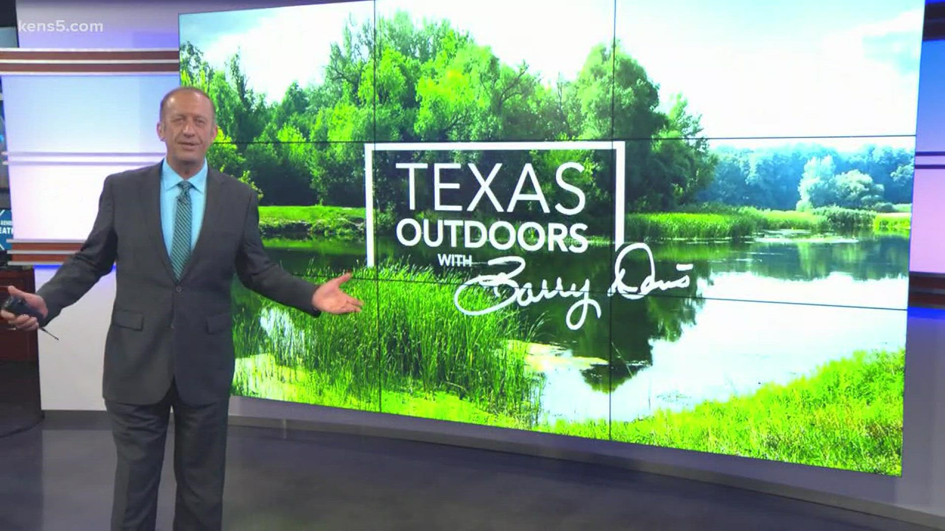 Barry brought along a special guess on this episode of Texas Outdoors!