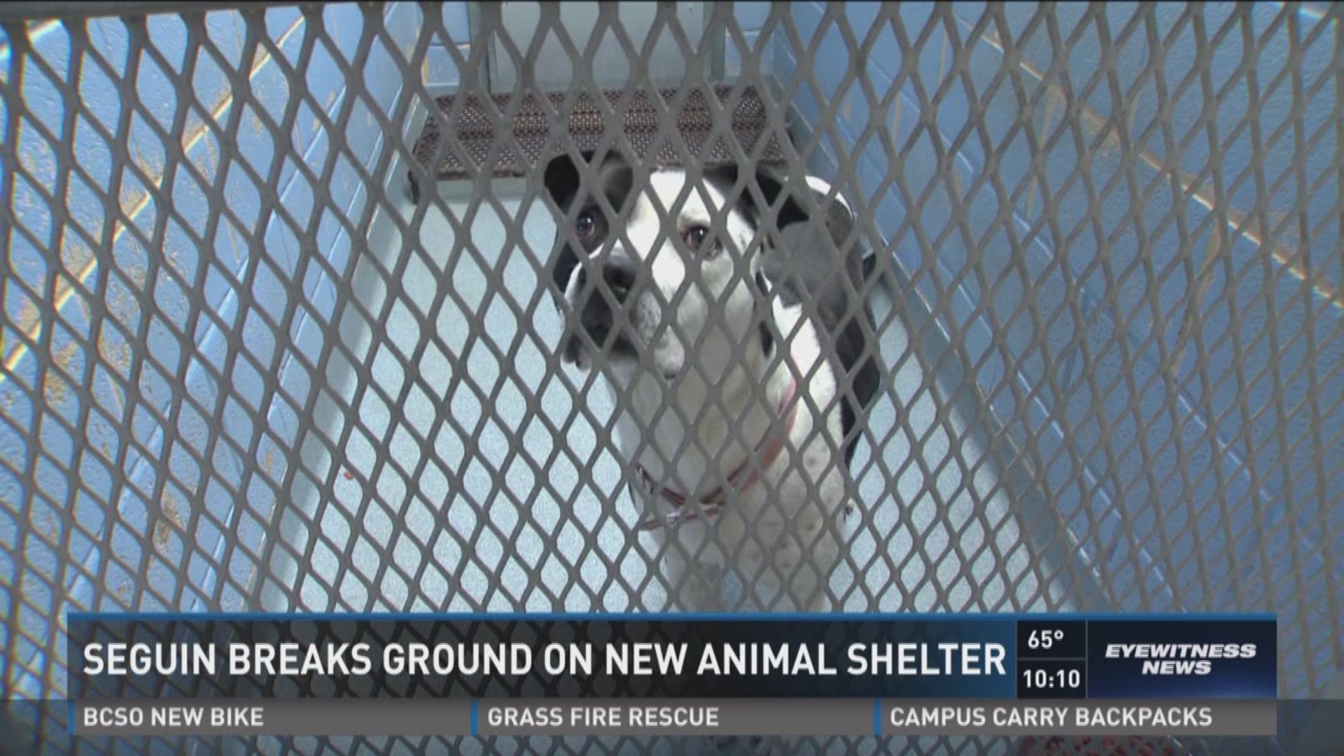 Seguin breaks ground on new 10,000-square-foot animal shelter 