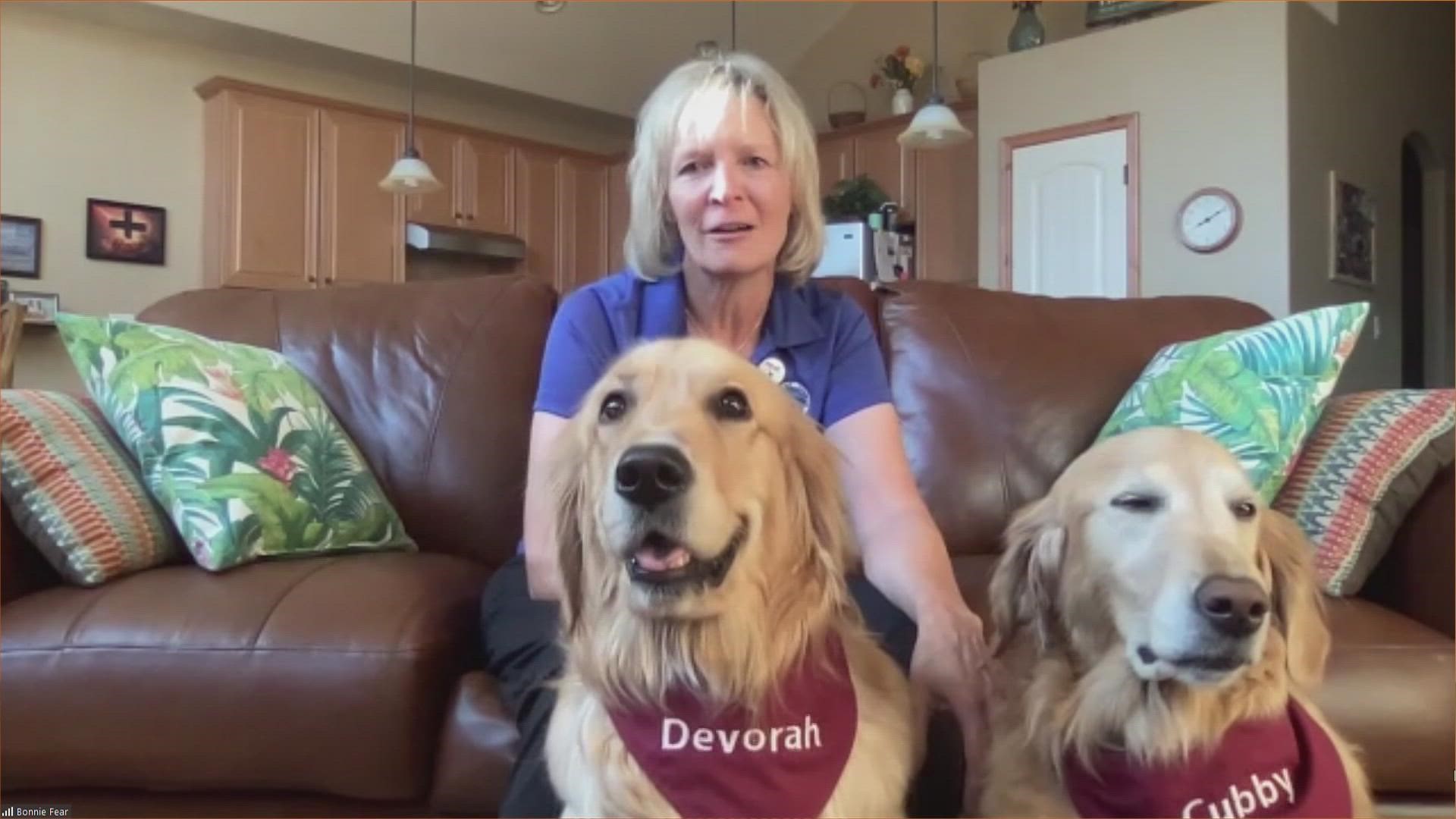 The golden retrievers have been invited back to Uvalde for the first three weeks of school.