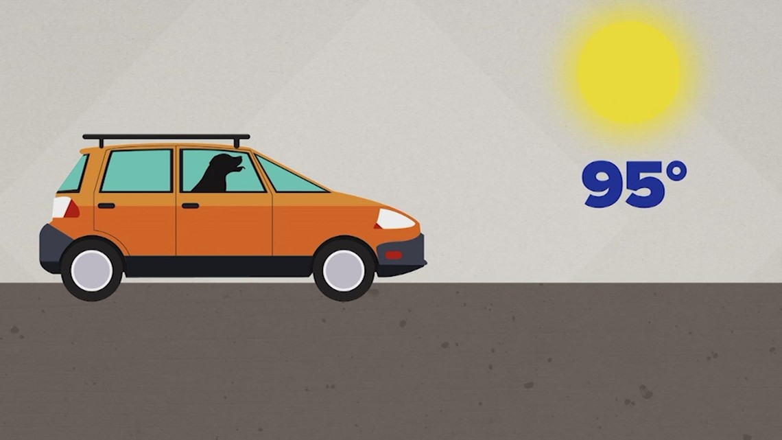 how hot does it get inside a car during summer