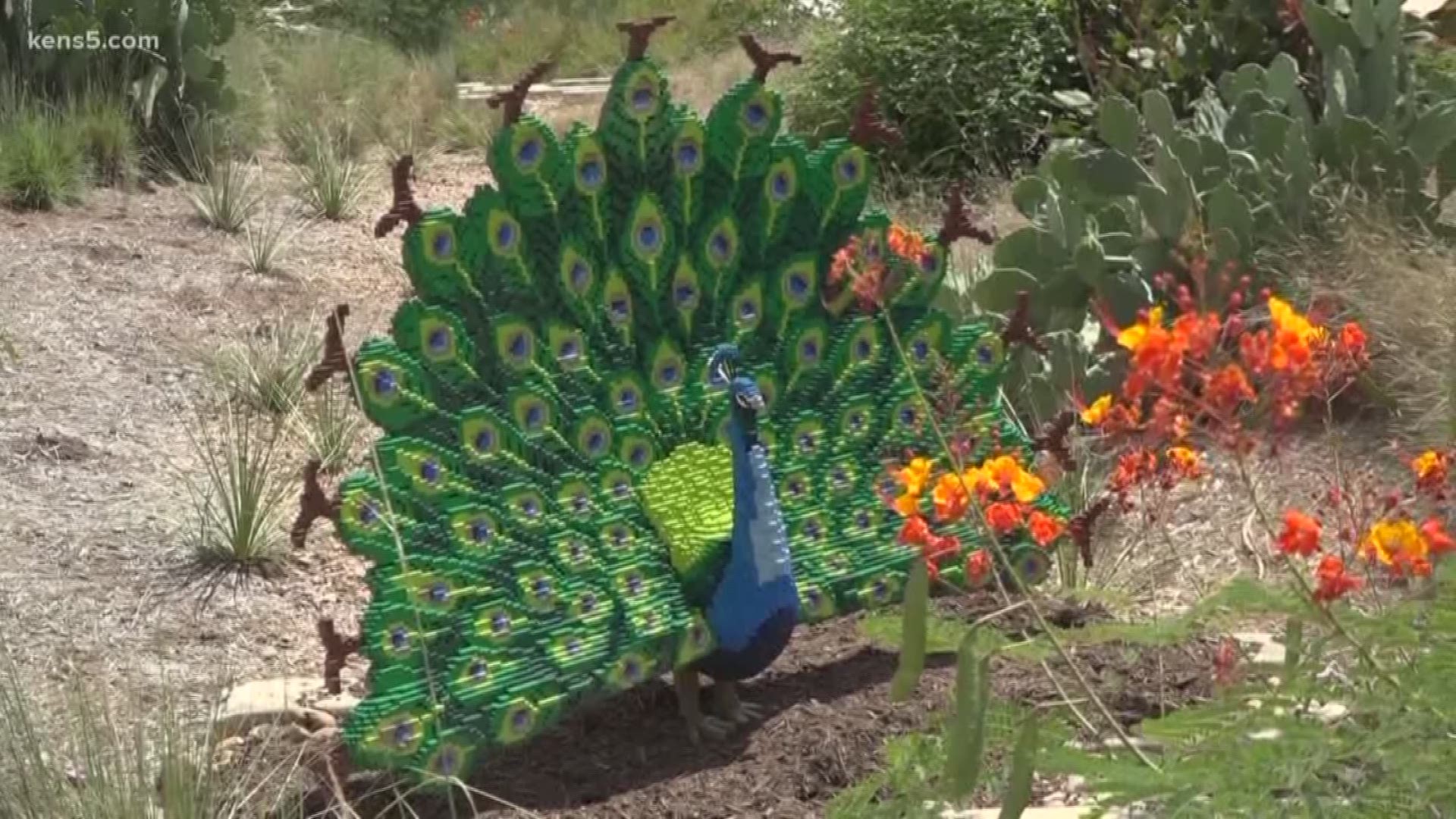 The San Antonio Botanical Gardens are using Legos this weekend to connect people with nature.