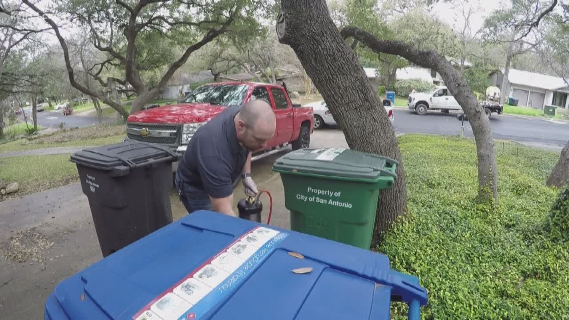 Get ready for another insect invasion! San Antonio is one of ten U.S. cities that the National Pest Management Association has its eye on.