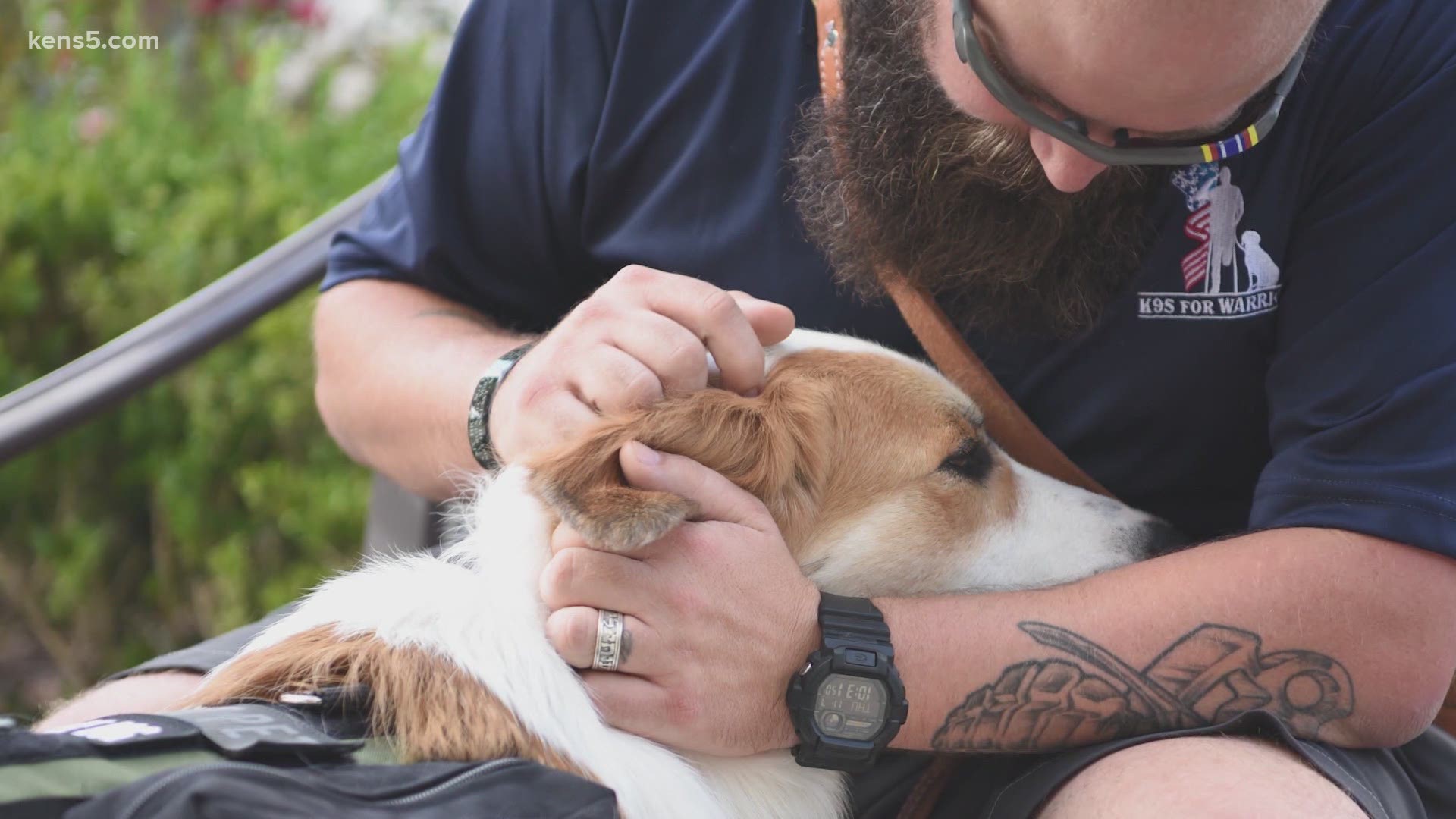 More veterans with PTSD will soon get help from service dogs