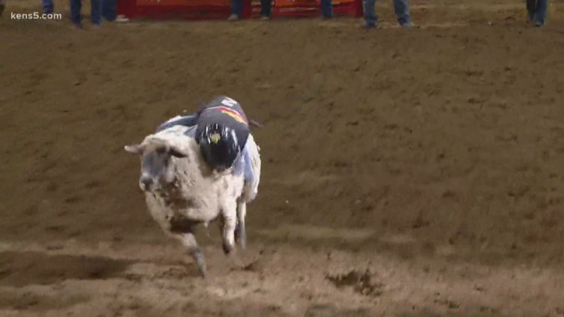 Josiah Tribble held on for 13 seconds, which SA Rodeo officials say ties an arena record.