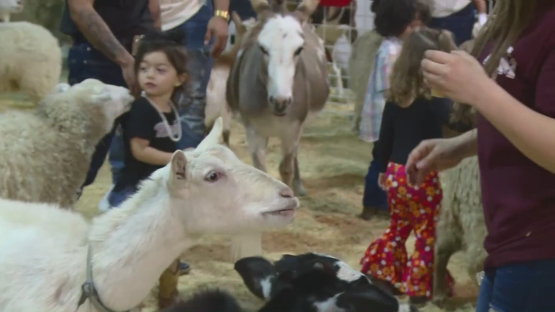 Simone Simpson talks about the petting zoo and the adorable kids dressed up at the rodeo.