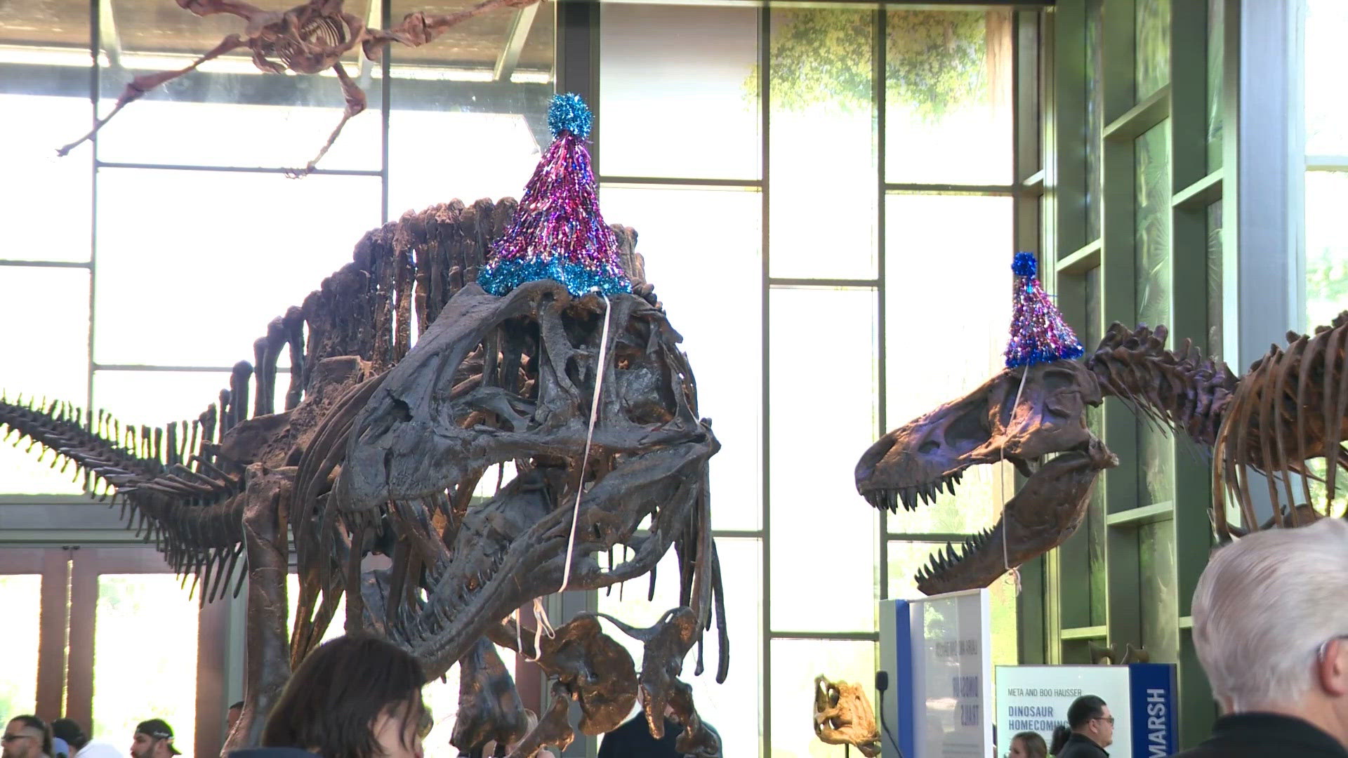 Whitte Witte Museum celebrates milestone with new exhibitions, celebration ...