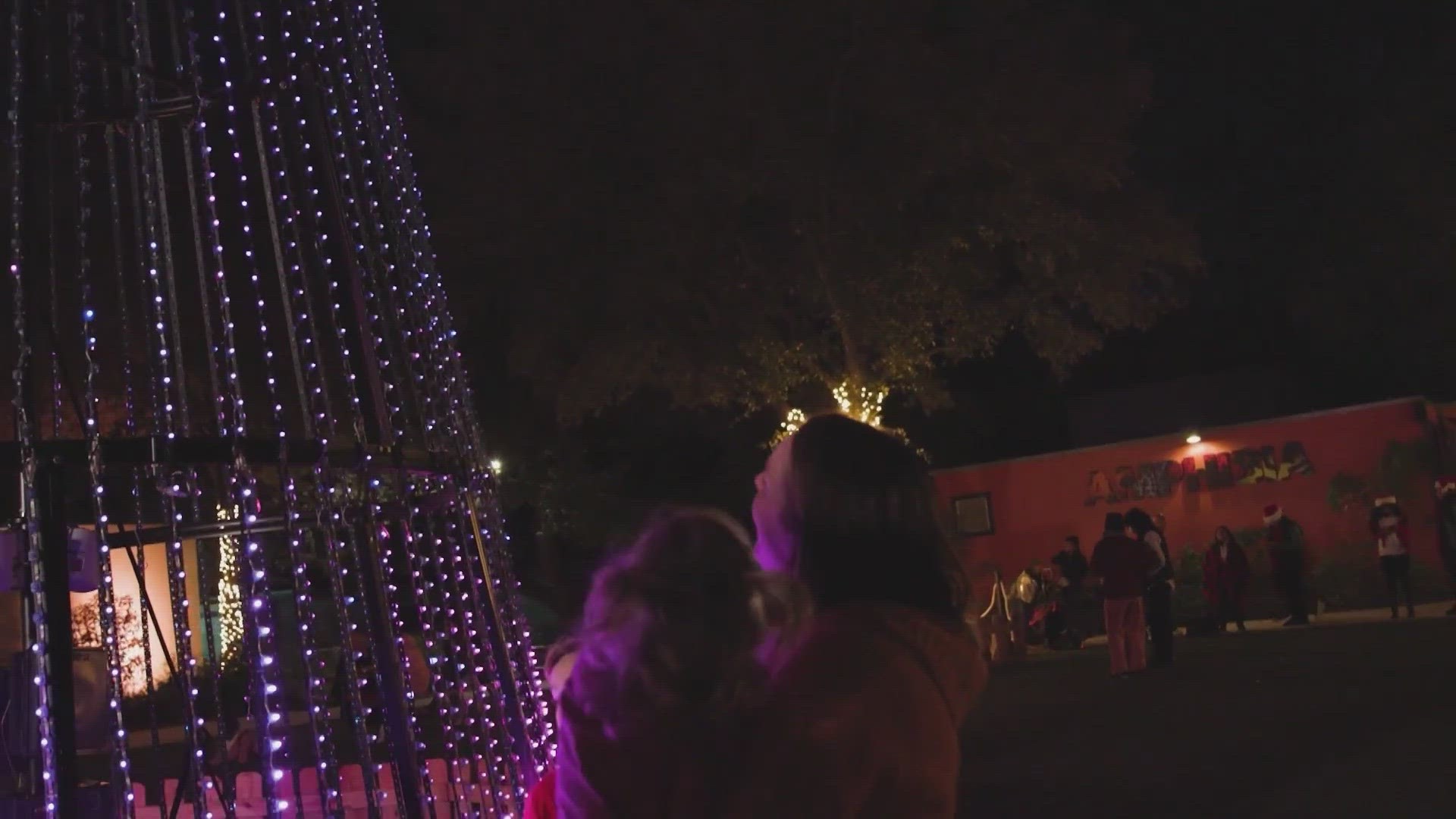 Zoo Lights, Powered by CPS Energy, is underway until December 31.