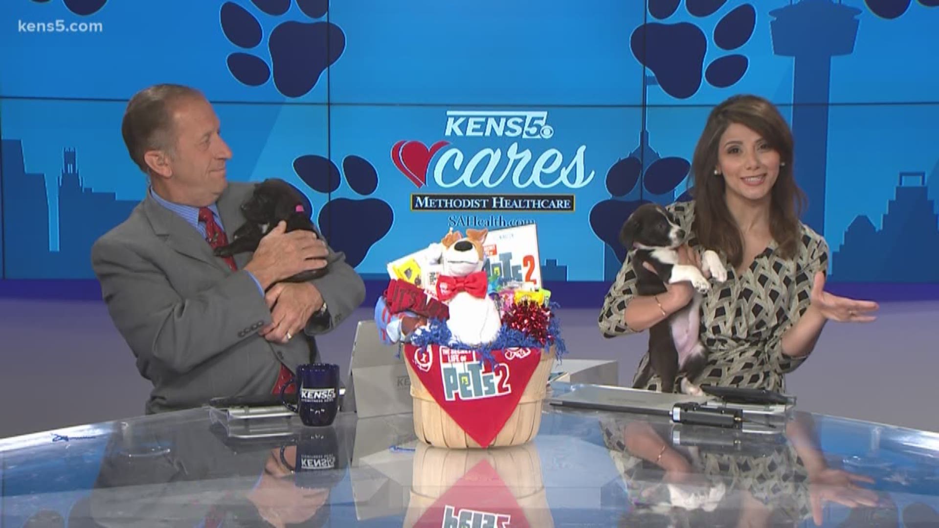 KENS 5 morning anchors Barry Davis and Sarah Forgany play with some cute pups on set while discussing the new film, The Secret Life of Pets 2.