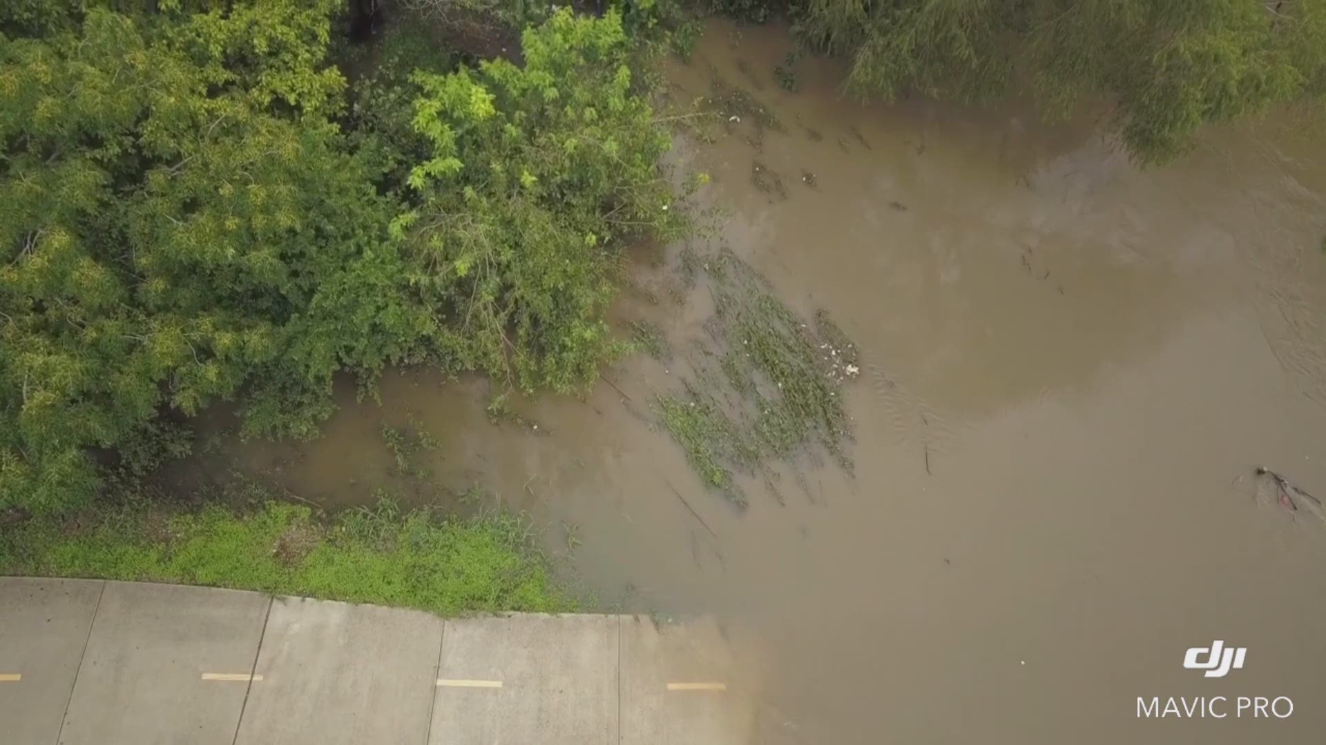 Drone pilot Ernie Shown recorded this video on the Salado Creek Hike and Bike Trail Saturday afternoon.
