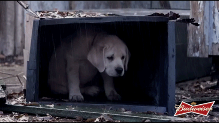 BestBuds: Budweiser finds the heart with new Super Bowl ad, 