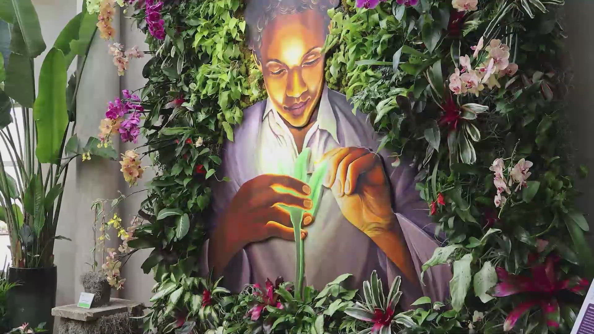 Experience 'Reflections of Nature' at San Antonio Botanical Garden ...