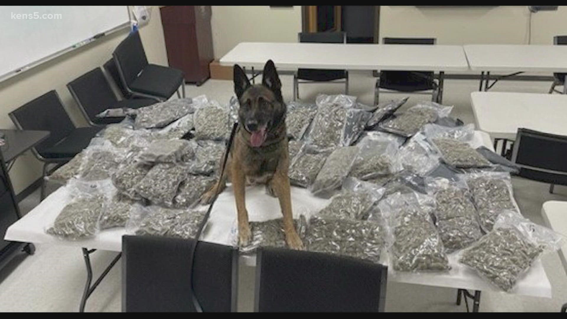 K-9 Officer Turbo led police to the duffel bags stuffed in the trunk.