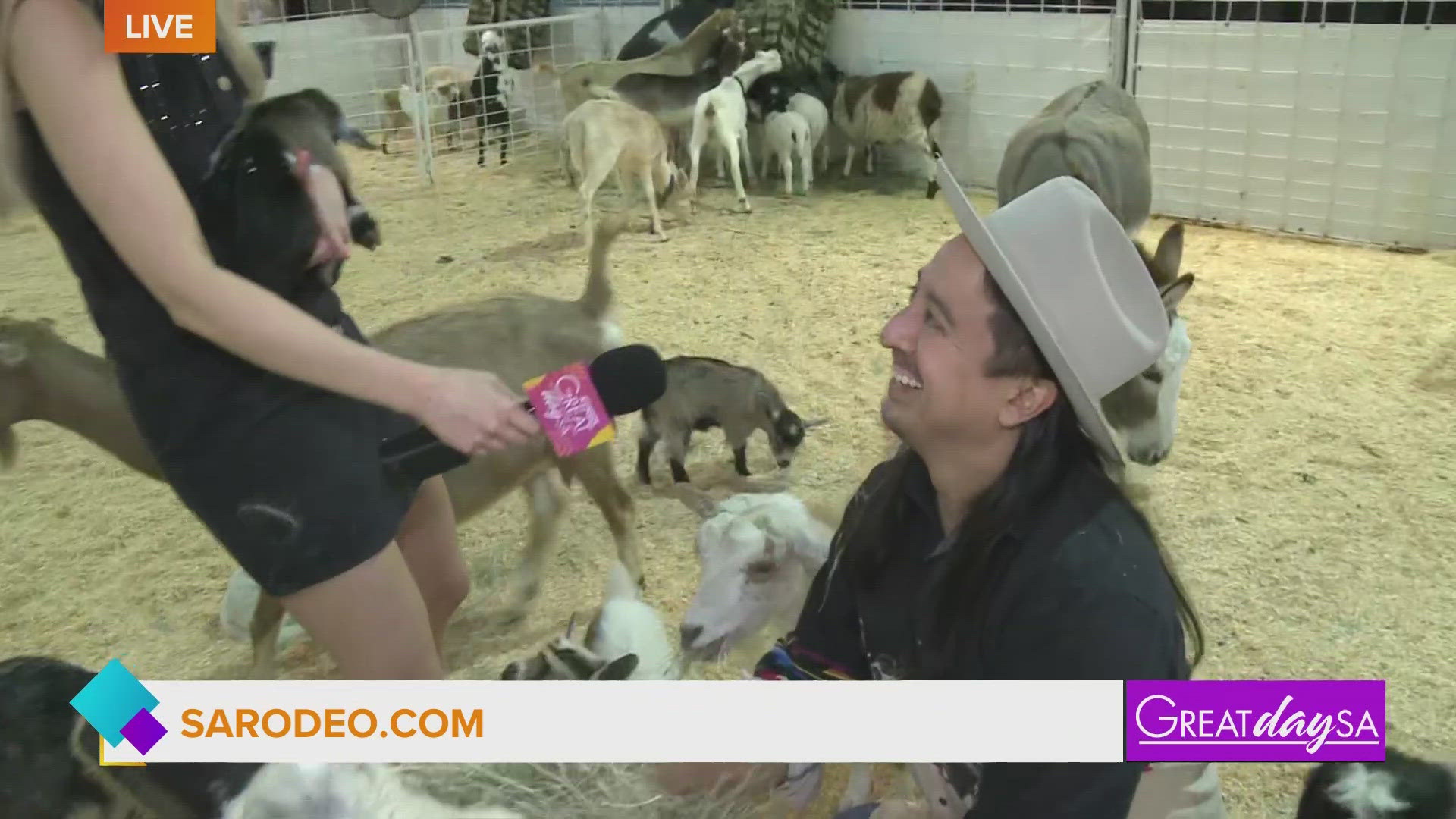 Fun at the Great American Animal Farm | Great Day SA