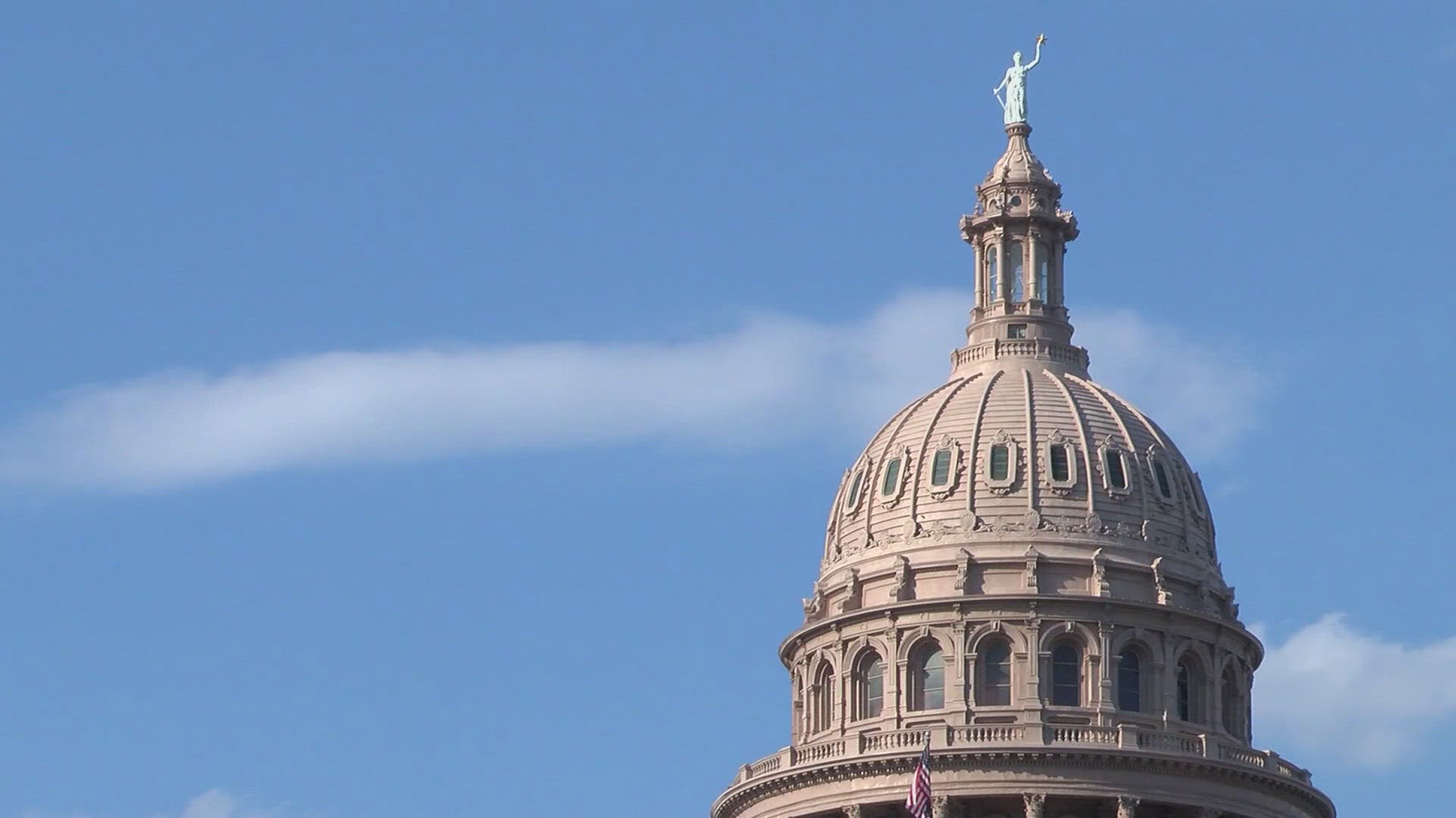 Texas Democrats are urging caution before any future DEI ban expansions.