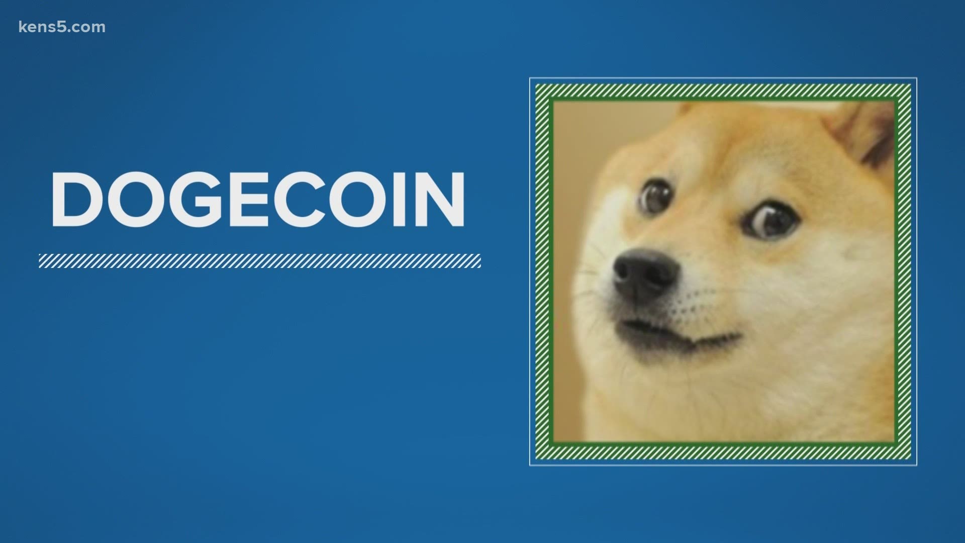 What drives the popularity and value of dogecoin? 