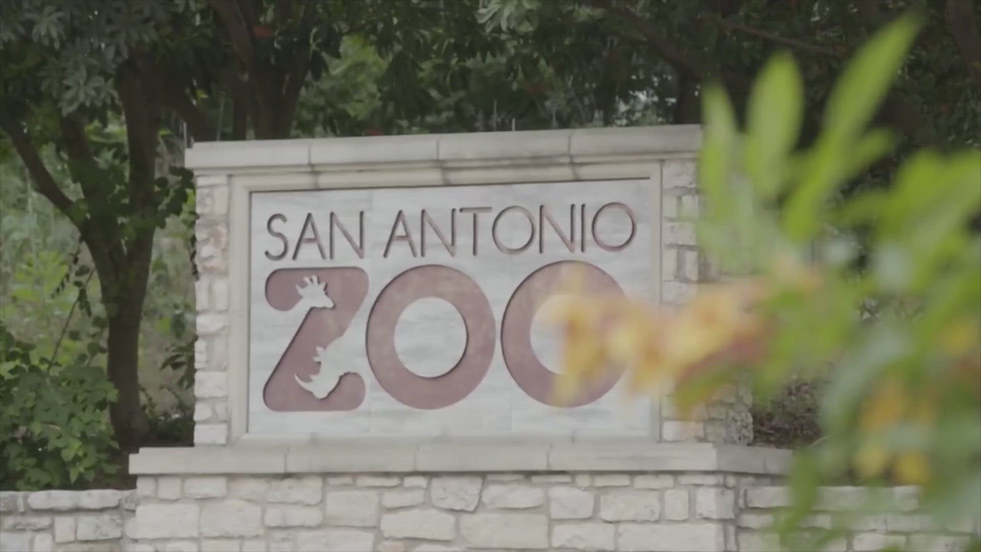 Locals can enjoy the Zoo today for only $8.