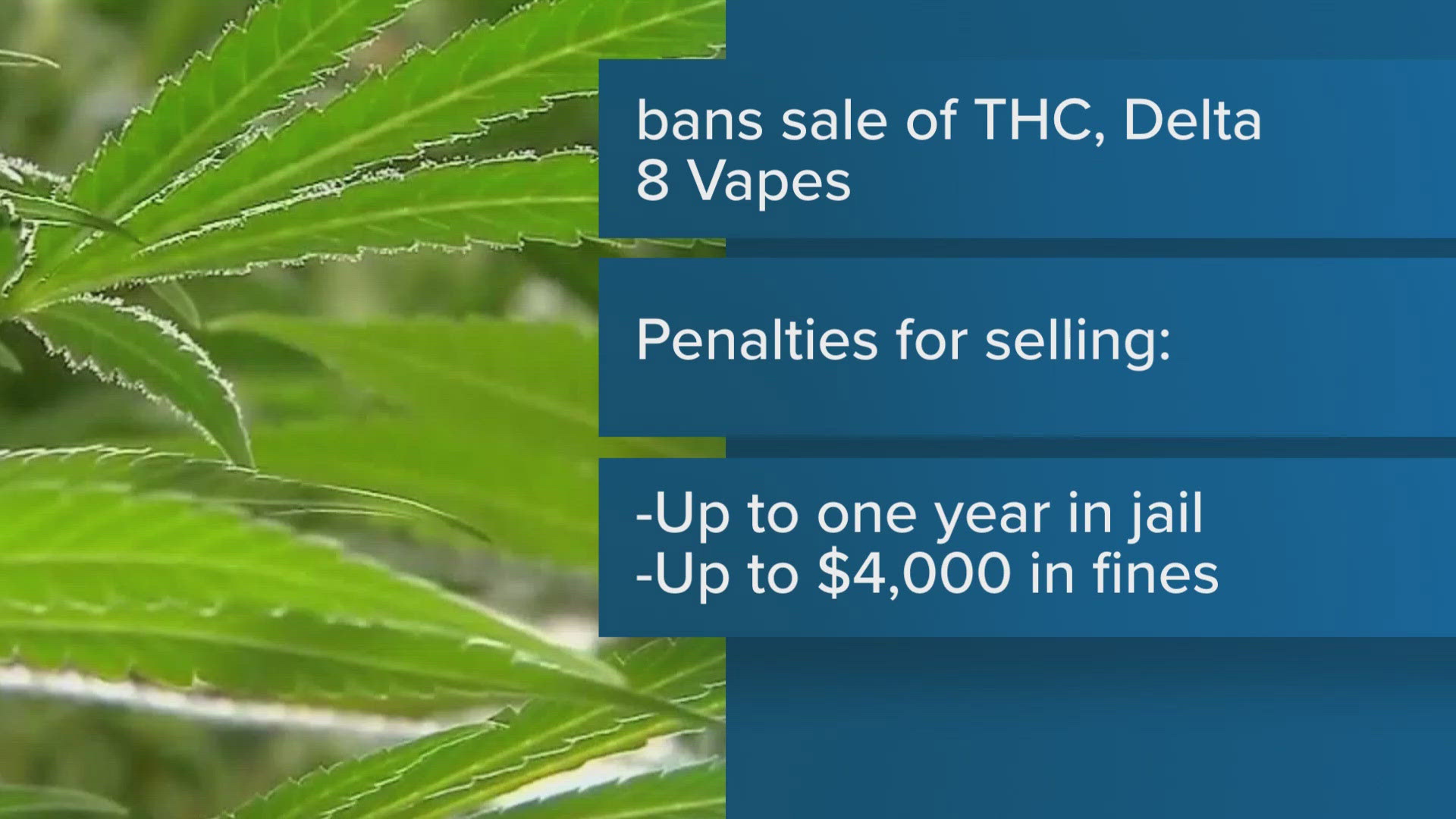 The new Texas law bans businesses from selling vapes containing THC or any other cannabis substances made with hemp, including Delta-8.
